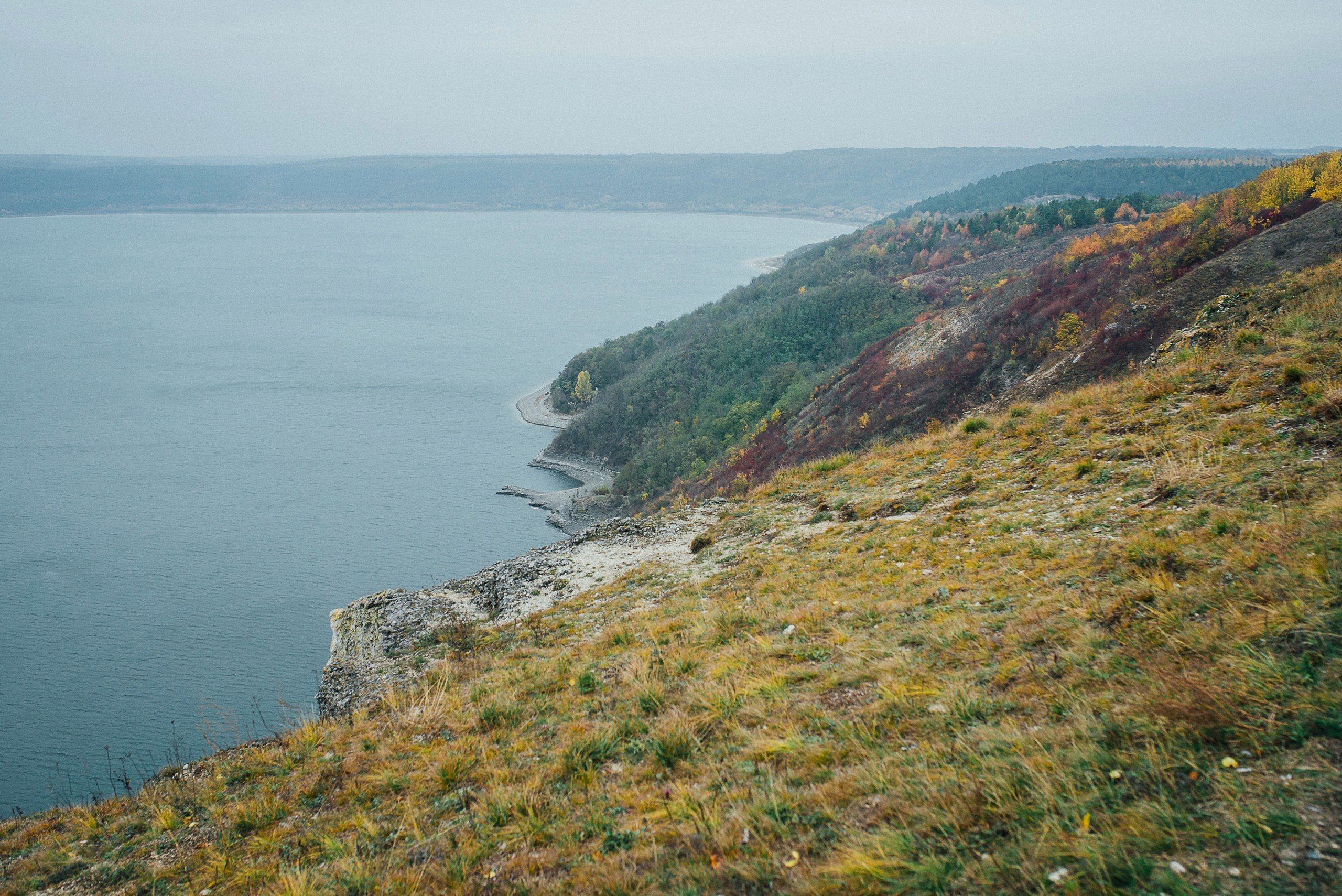 Два кота він та вона. Весільний фотограф Цимбалюк Микола Луцьк