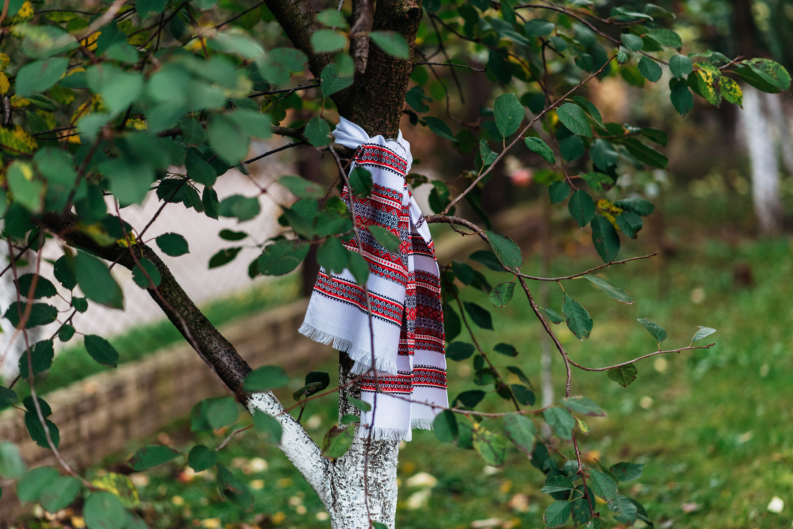 Іра та Віталік. Весільний фотограф Цимбалюк Микола Луцьк