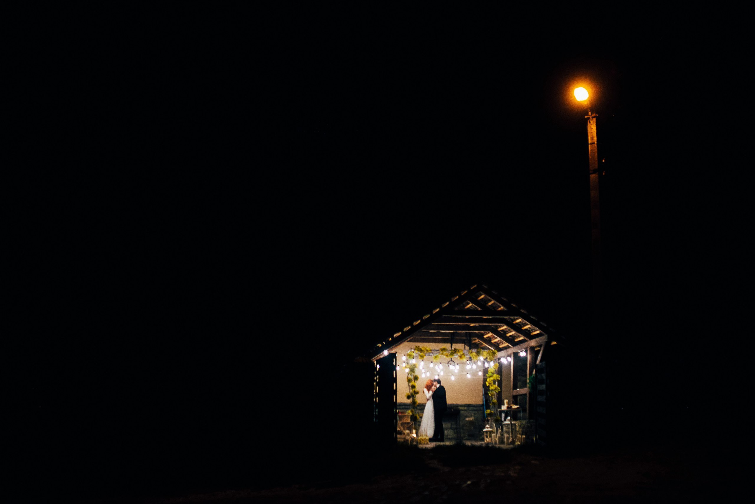 Два кота він та вона. Весільний фотограф Цимбалюк Микола Луцьк