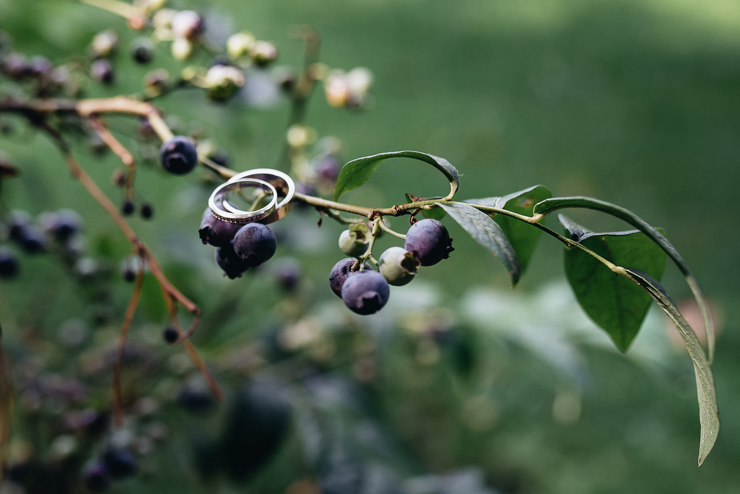 J & K. Весільний фотограф Цимбалюк Микола Луцьк