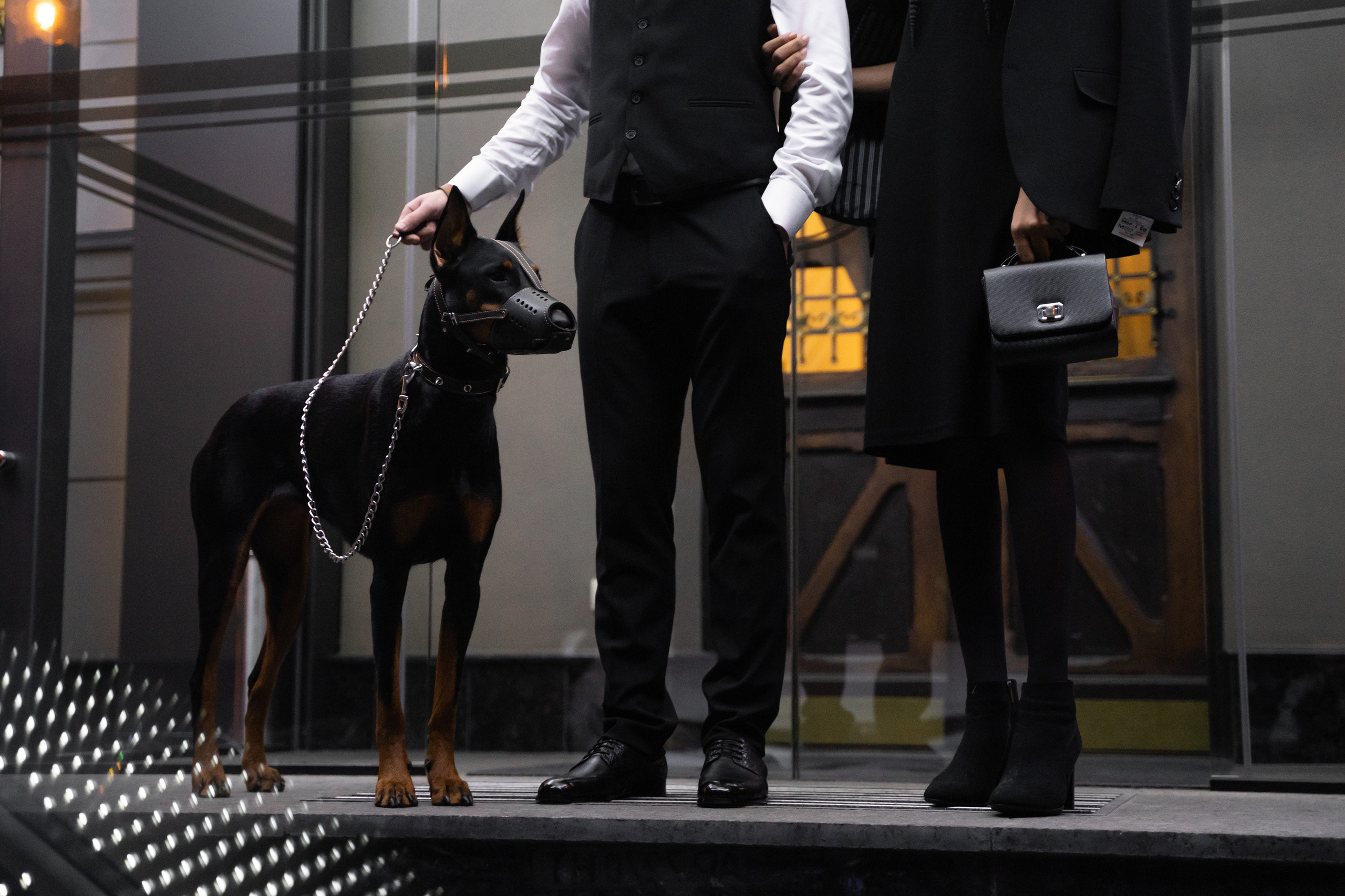 Yaroslav&Phybee. Ярослав Гаврилаш - весільний фотограф в Івано-Франківську та Львові