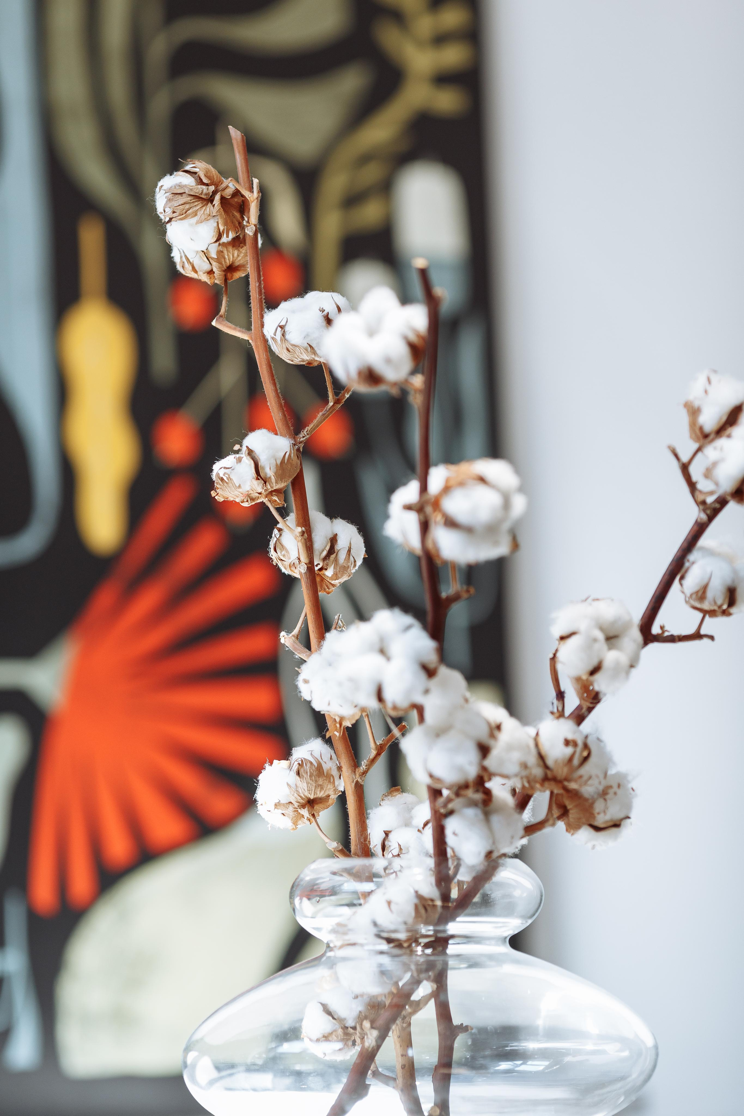 Фотозвіт з події у Львові. Тарас Бовт. Фотограф Львів. Портрети та репортаж з подій