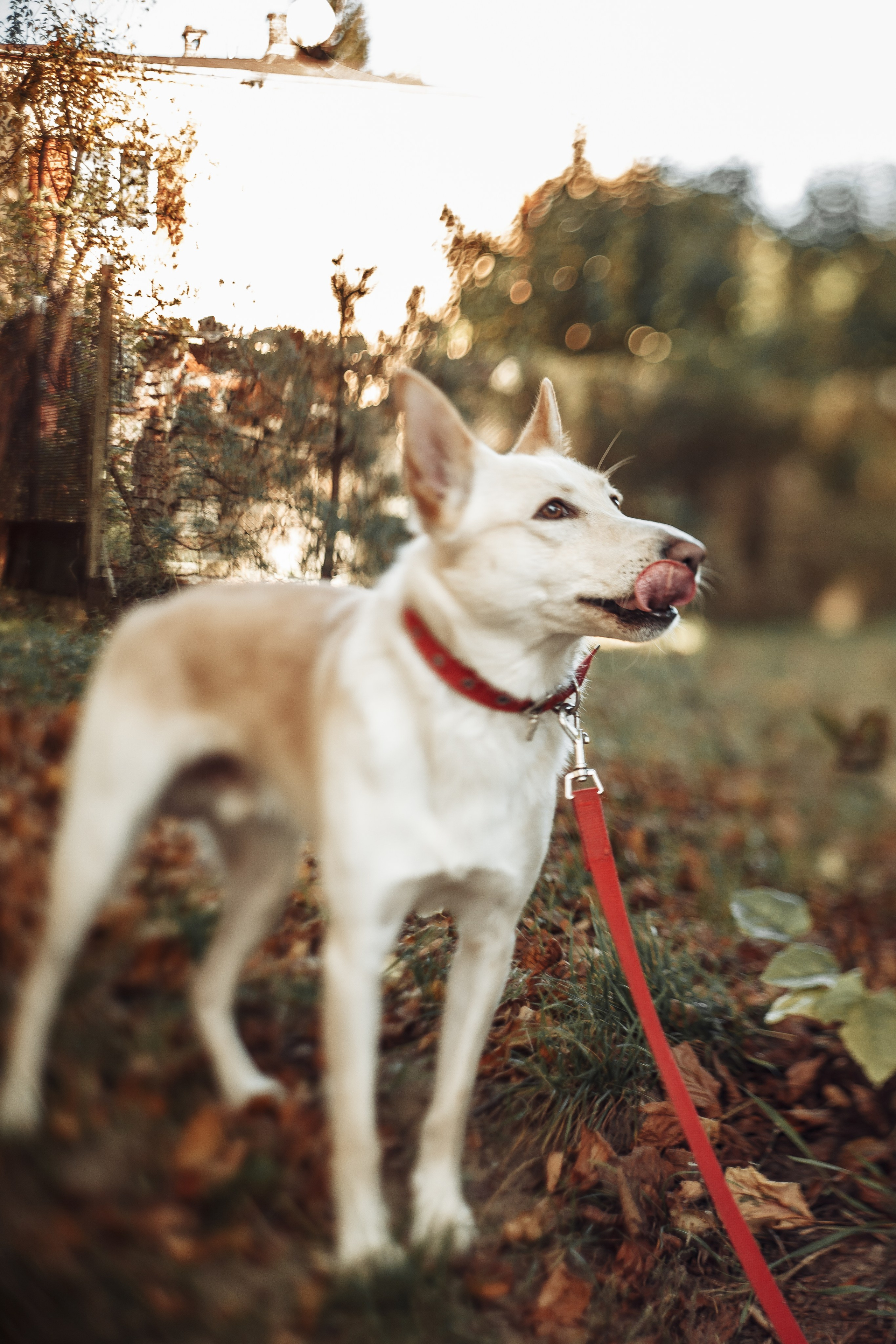 Freedom of will. Тарас Бовт. Фотограф Львів. Портрети та репортаж з подій