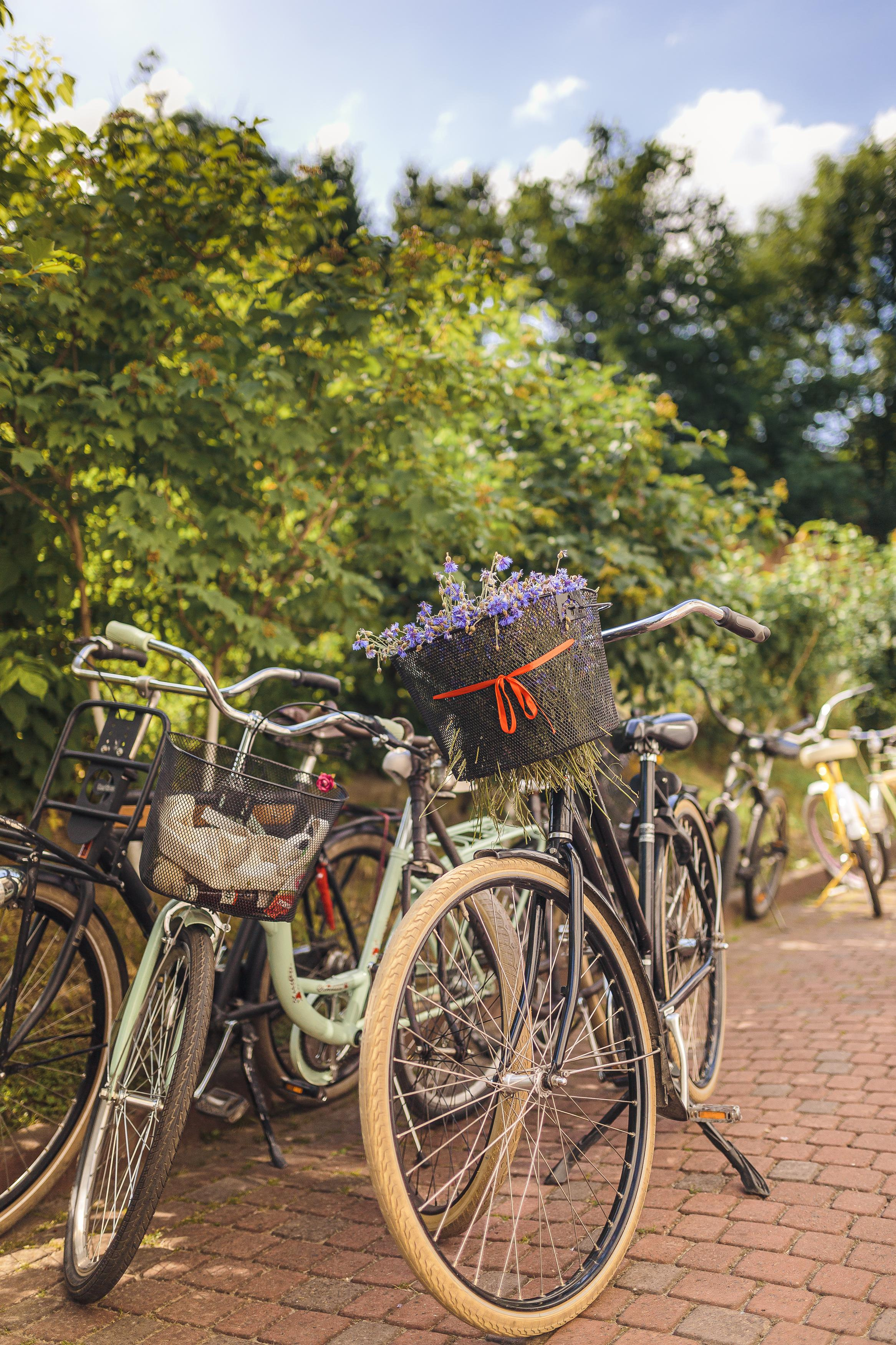 Батяри на роверах. Family Edition. Тарас Бовт. Фотограф Львів. Портрети та репортаж з подій