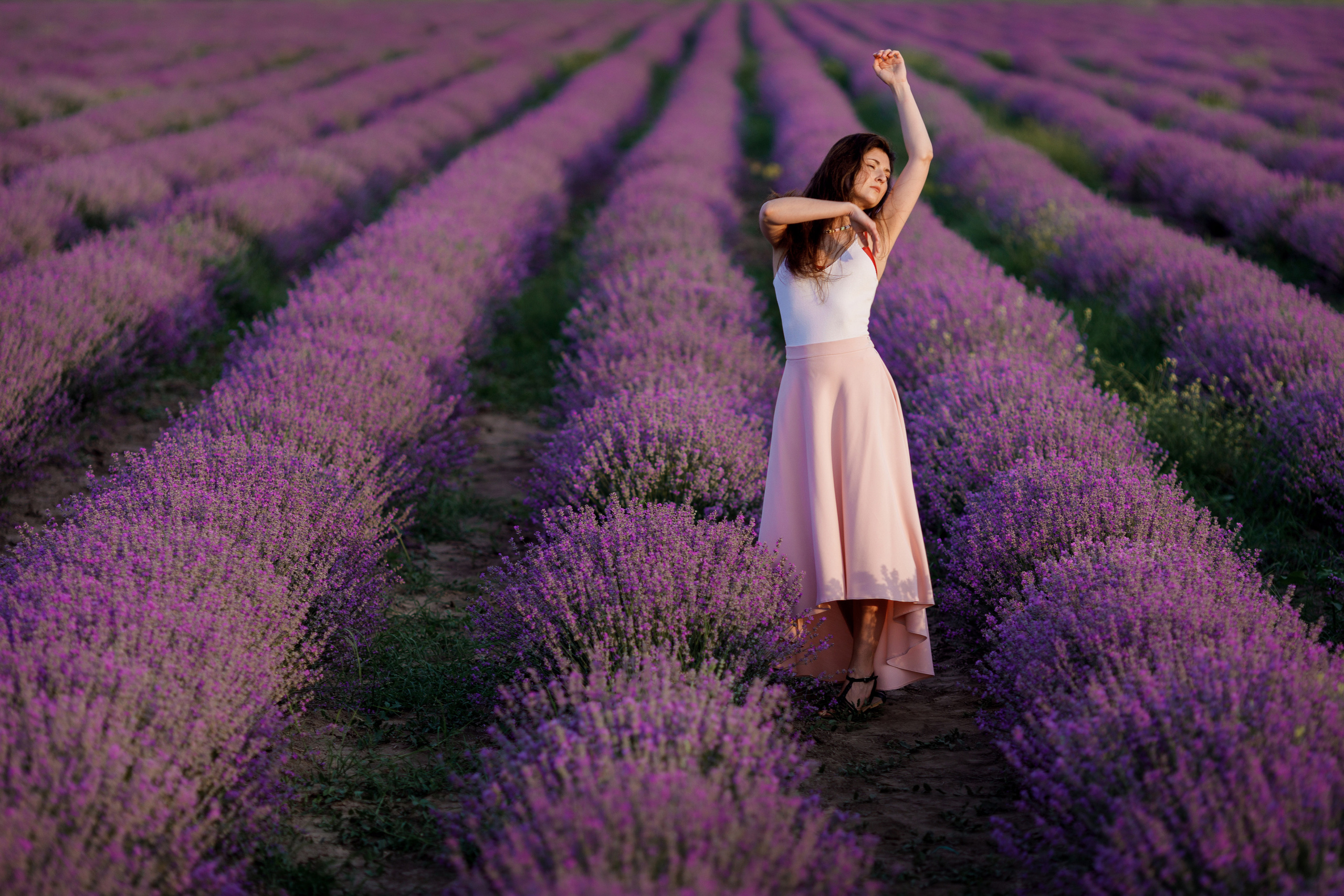 Лаванда. Photographer Calgary