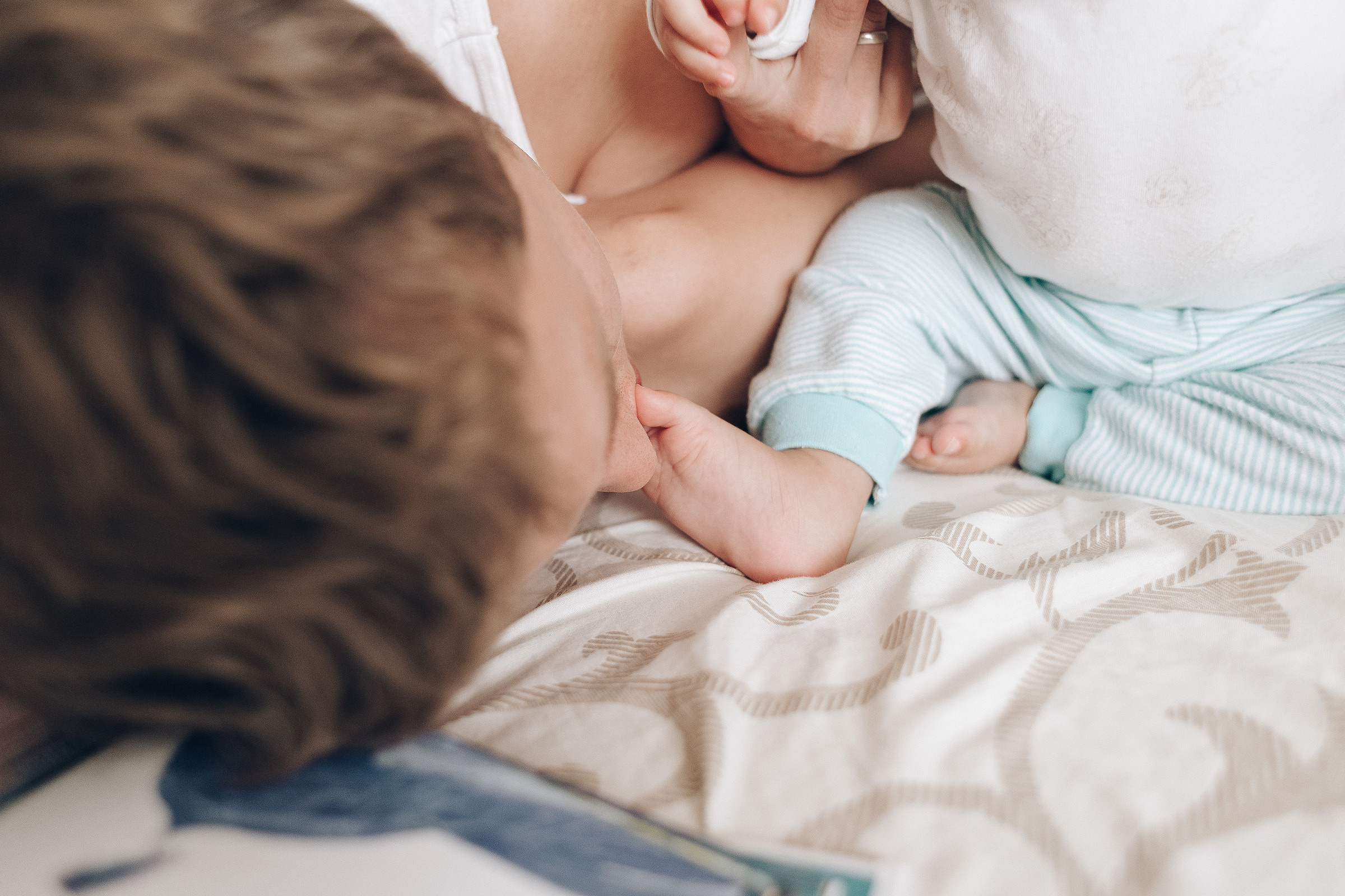 Little Lion. Photographer Calgary