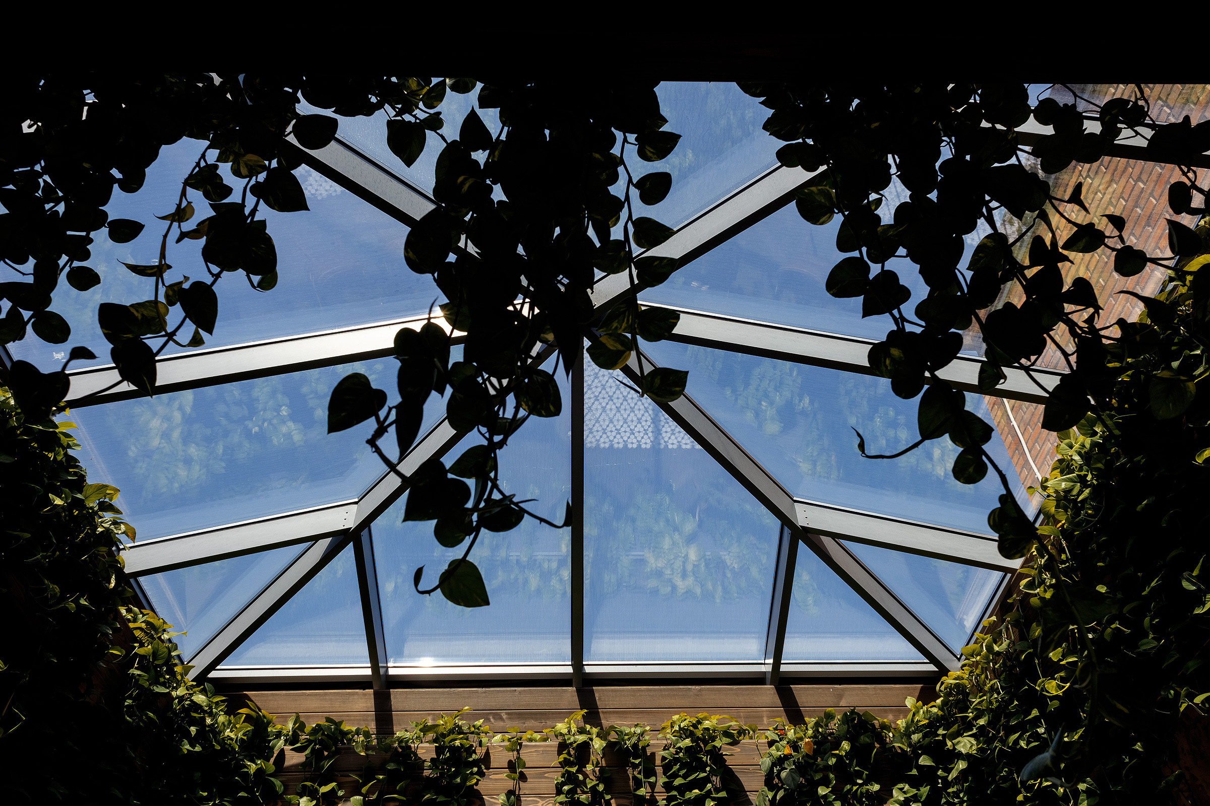 Vladimir & Olga. Photographer Calgary