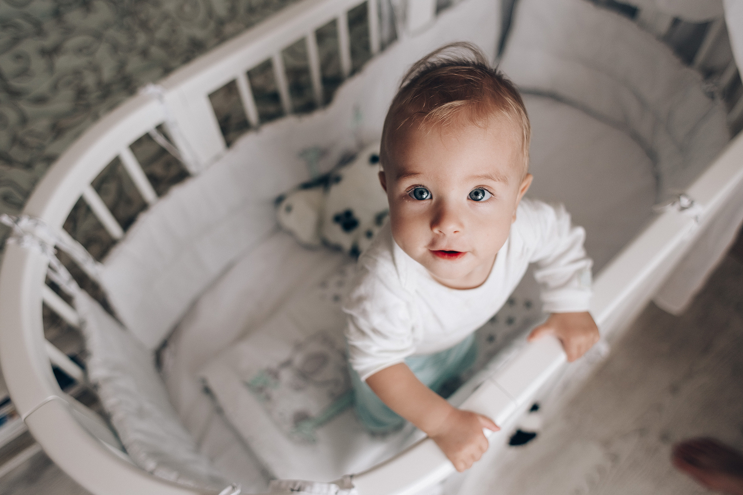 Little Lion. Photographer Calgary