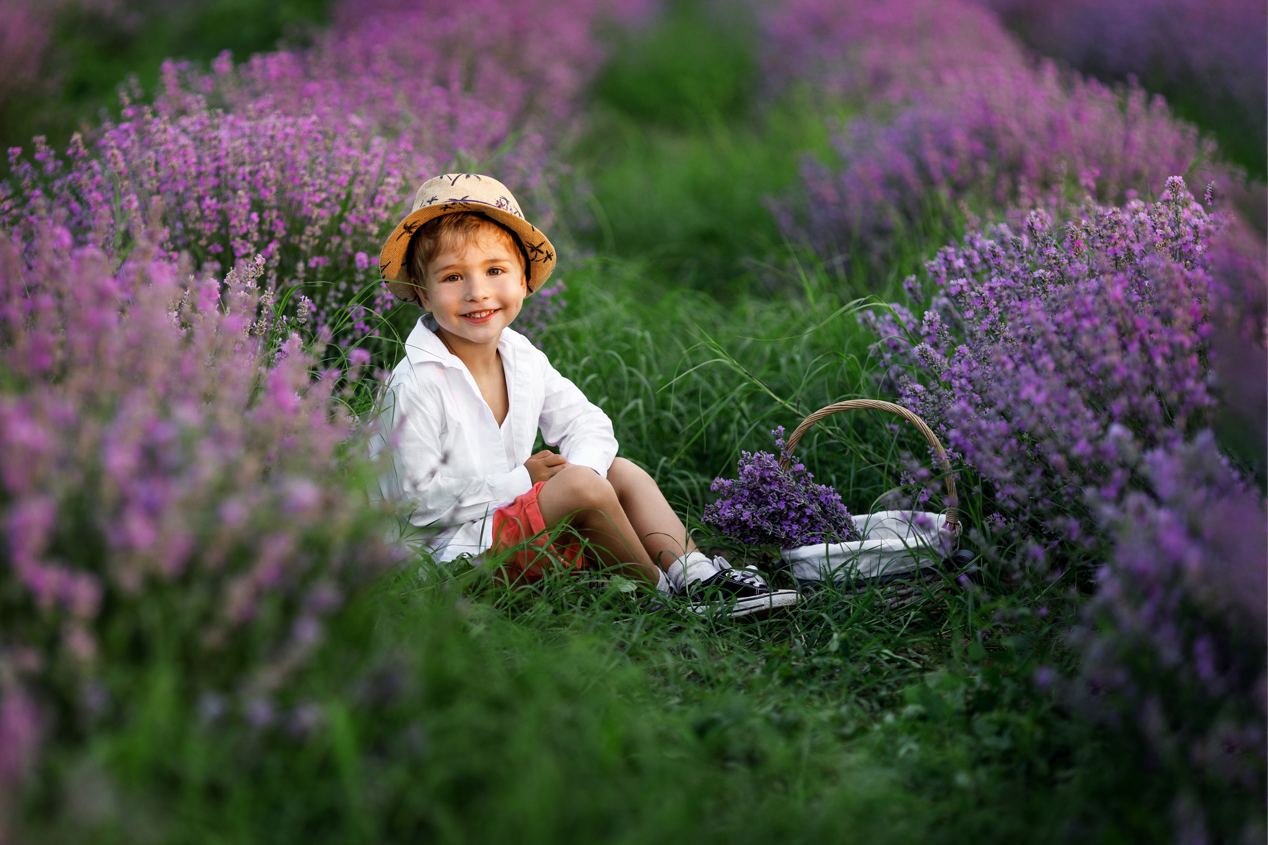 Лаванда. Photographer Calgary