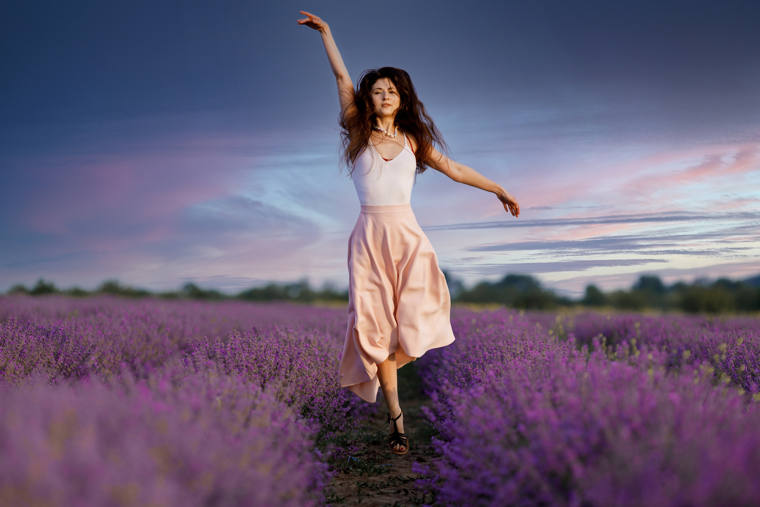 Лаванда. Photographer Calgary