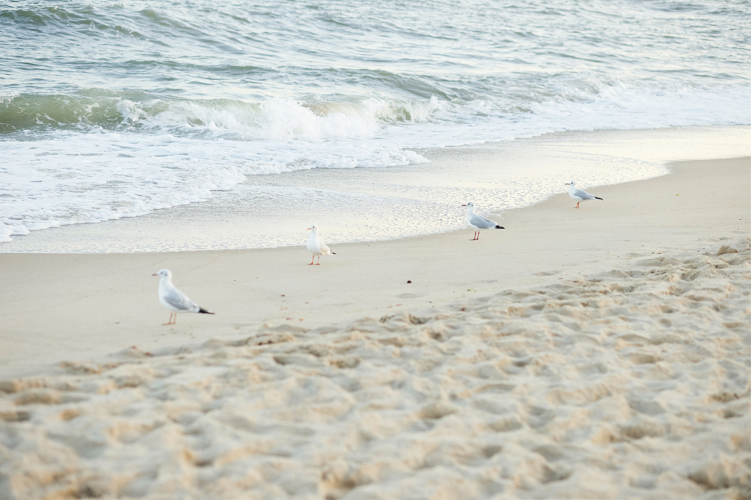 Waiting for a miracle…. Photographer Calgary