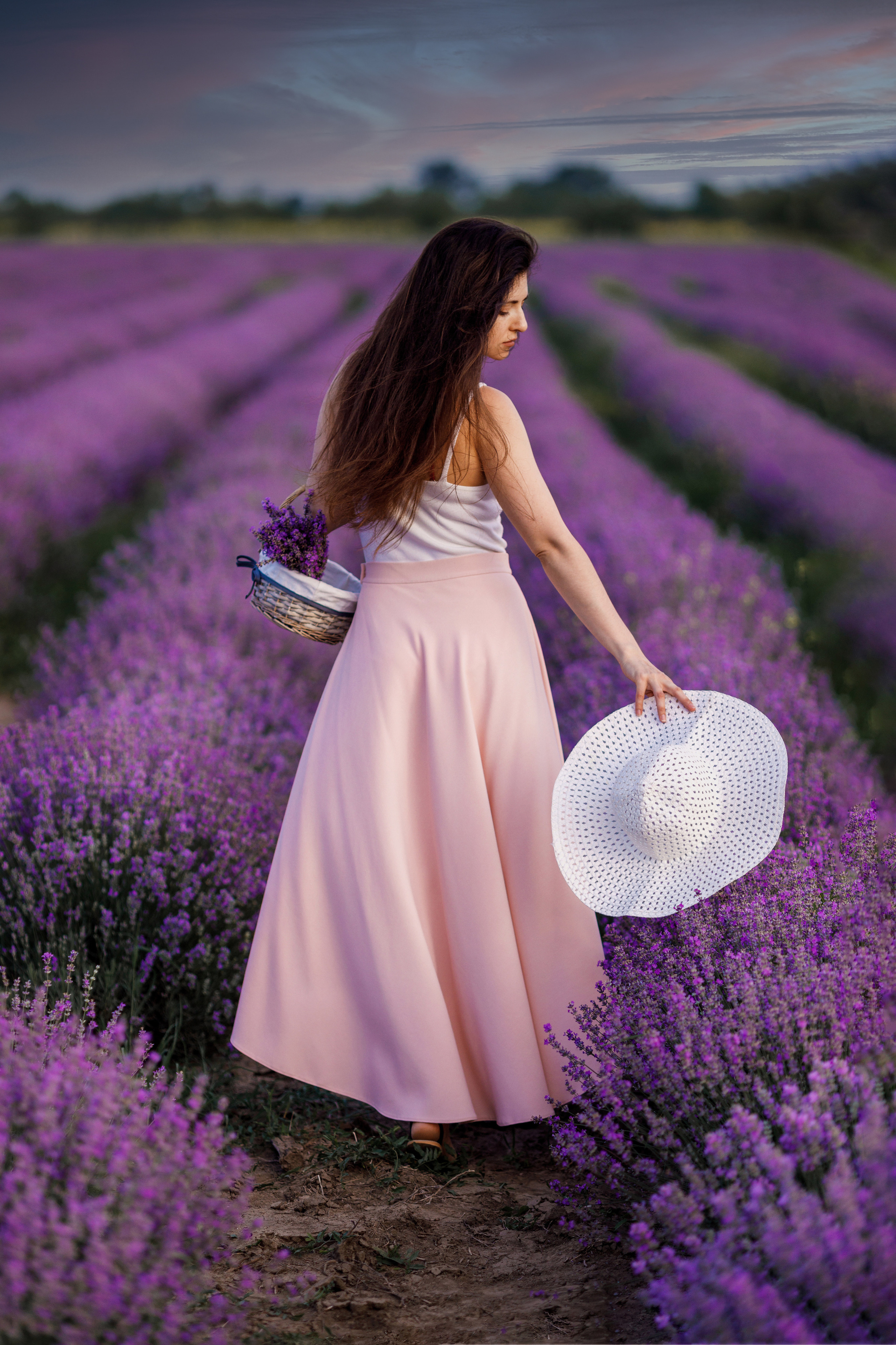 Лаванда. Photographer Calgary