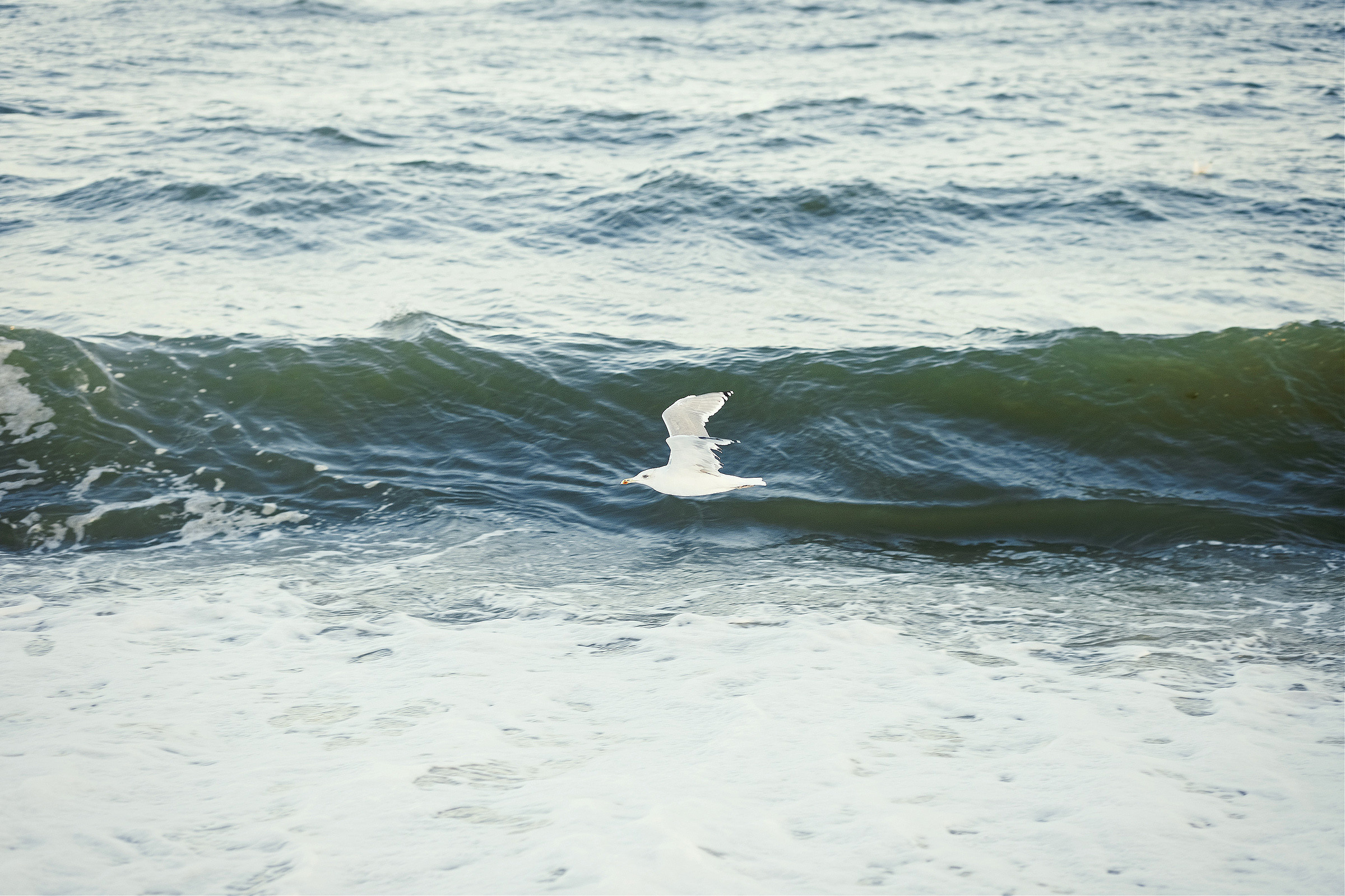 Waiting for a miracle…. Photographer Calgary