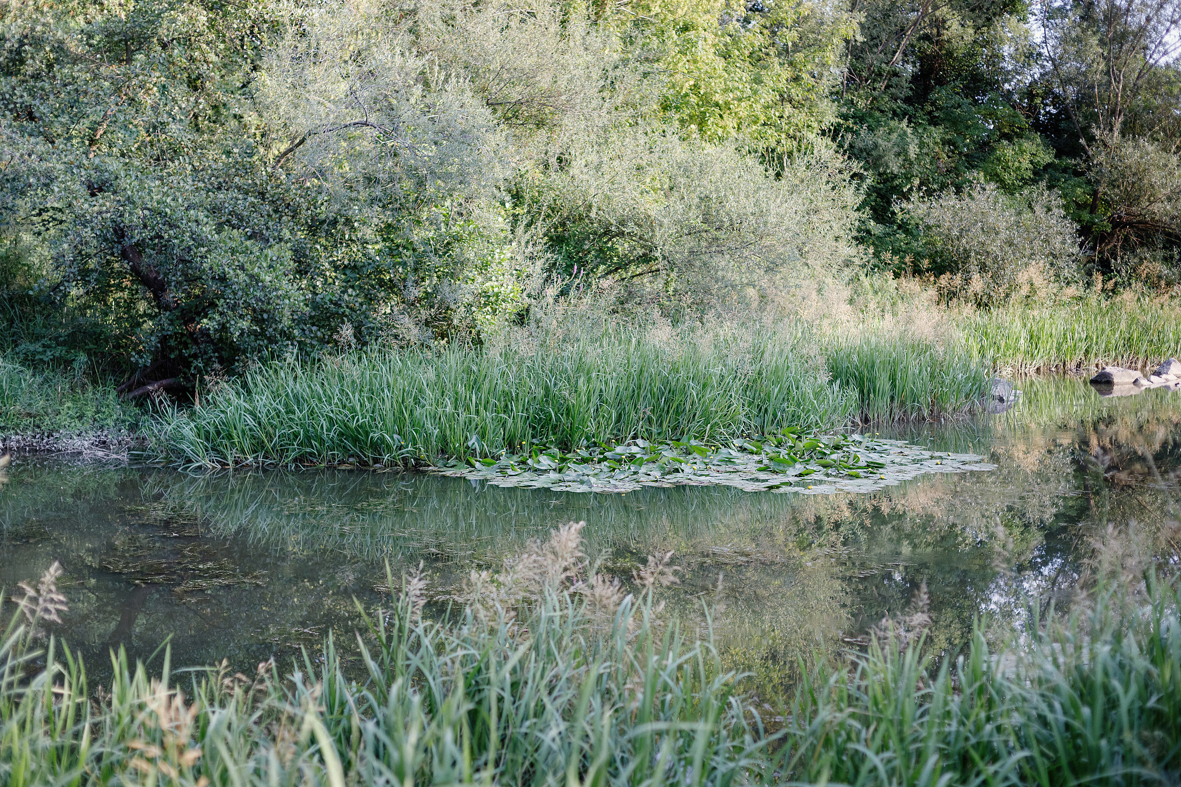 Rodina Scepkova, Slovensko. Photographer Calgary
