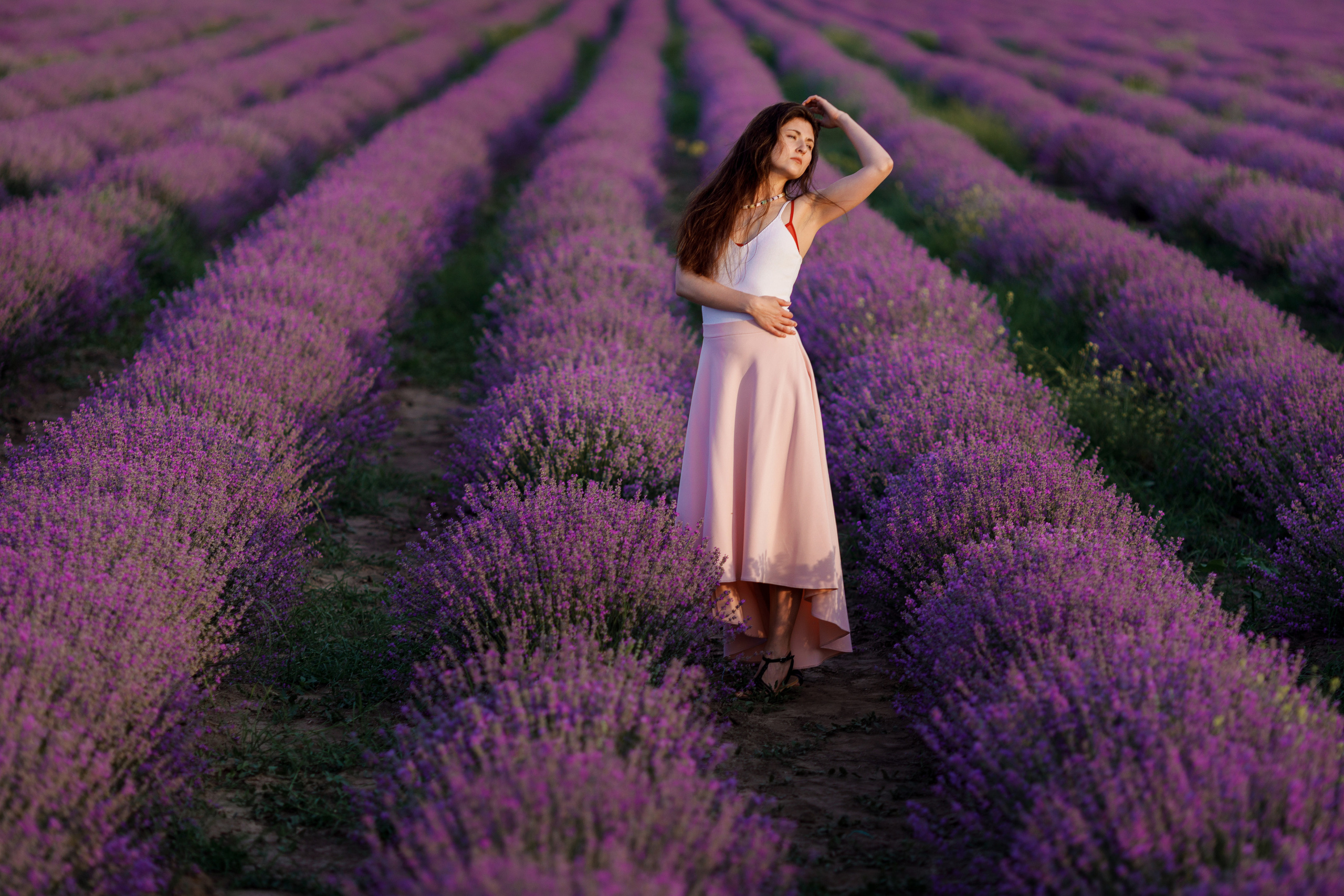 Лаванда. Photographer Calgary