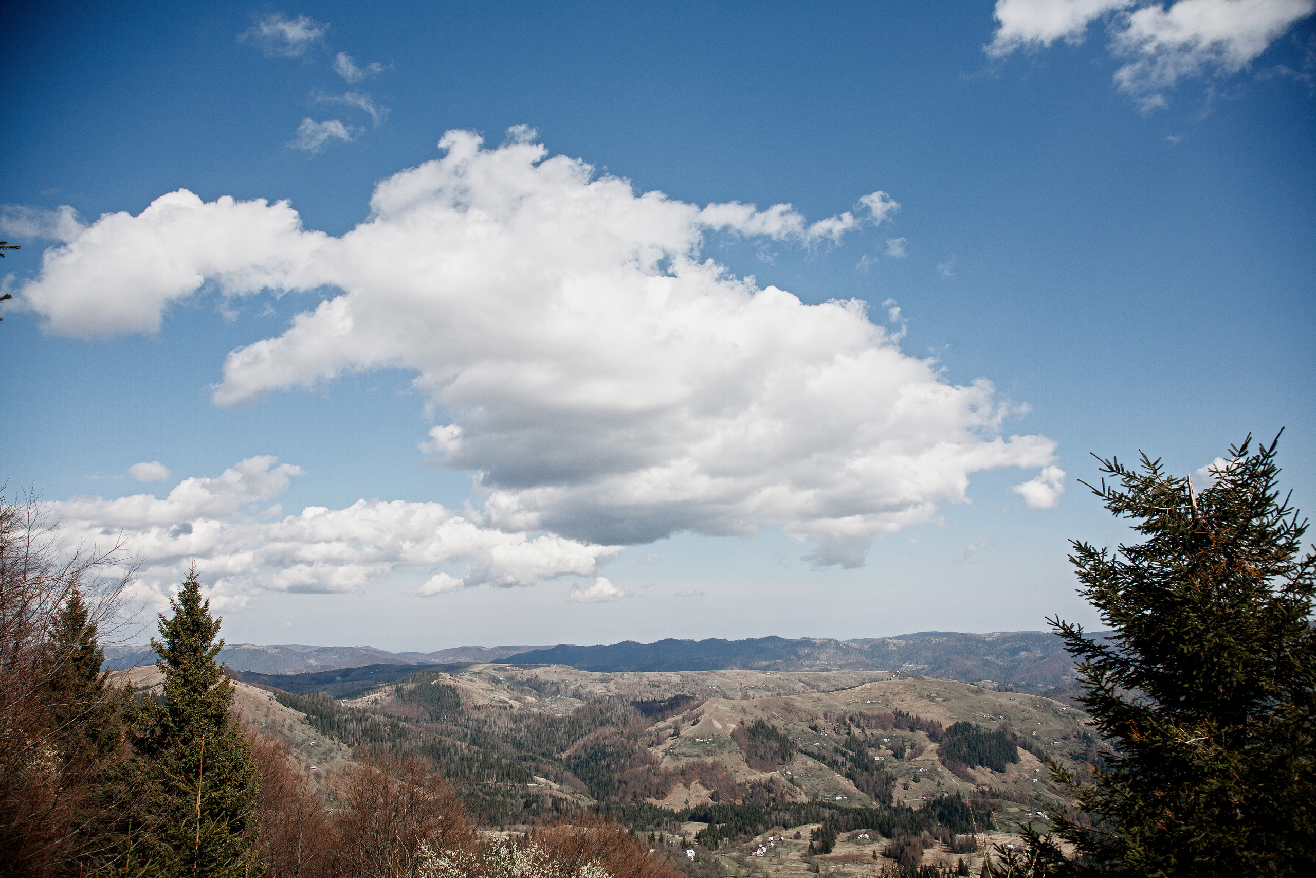 Happy moments. Photographer Calgary