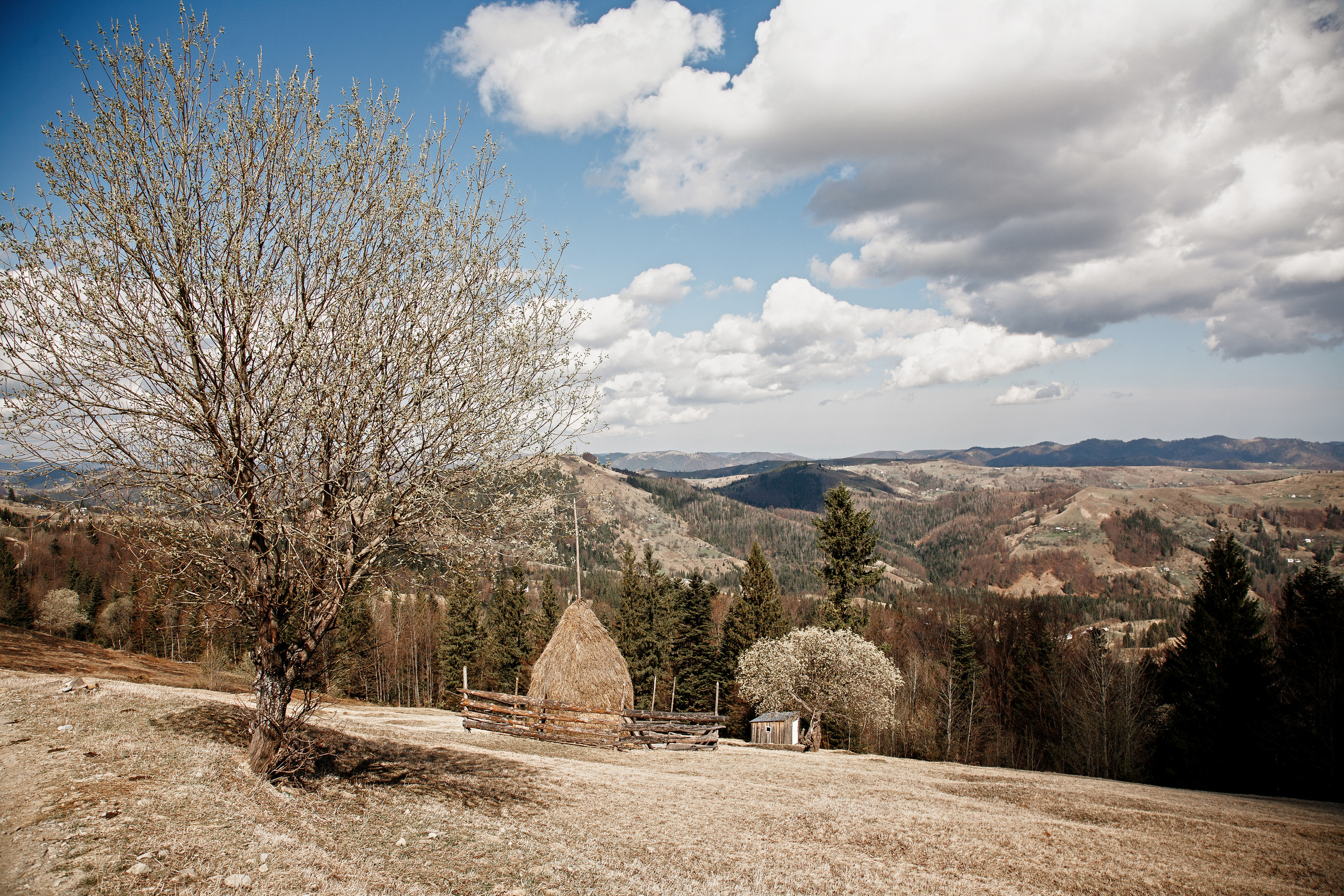 Happy moments. Photographer Calgary