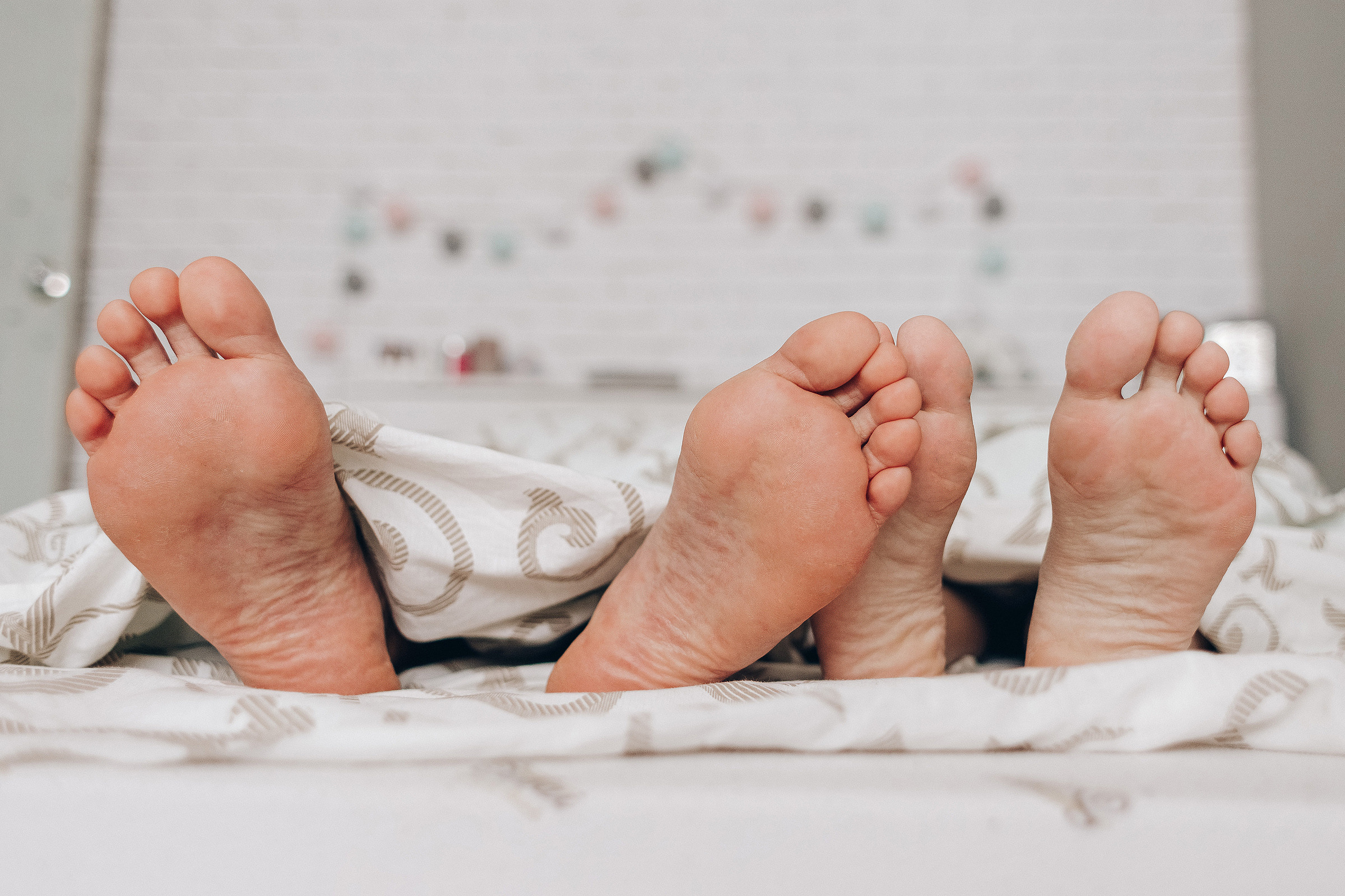 Little Lion. Photographer Calgary