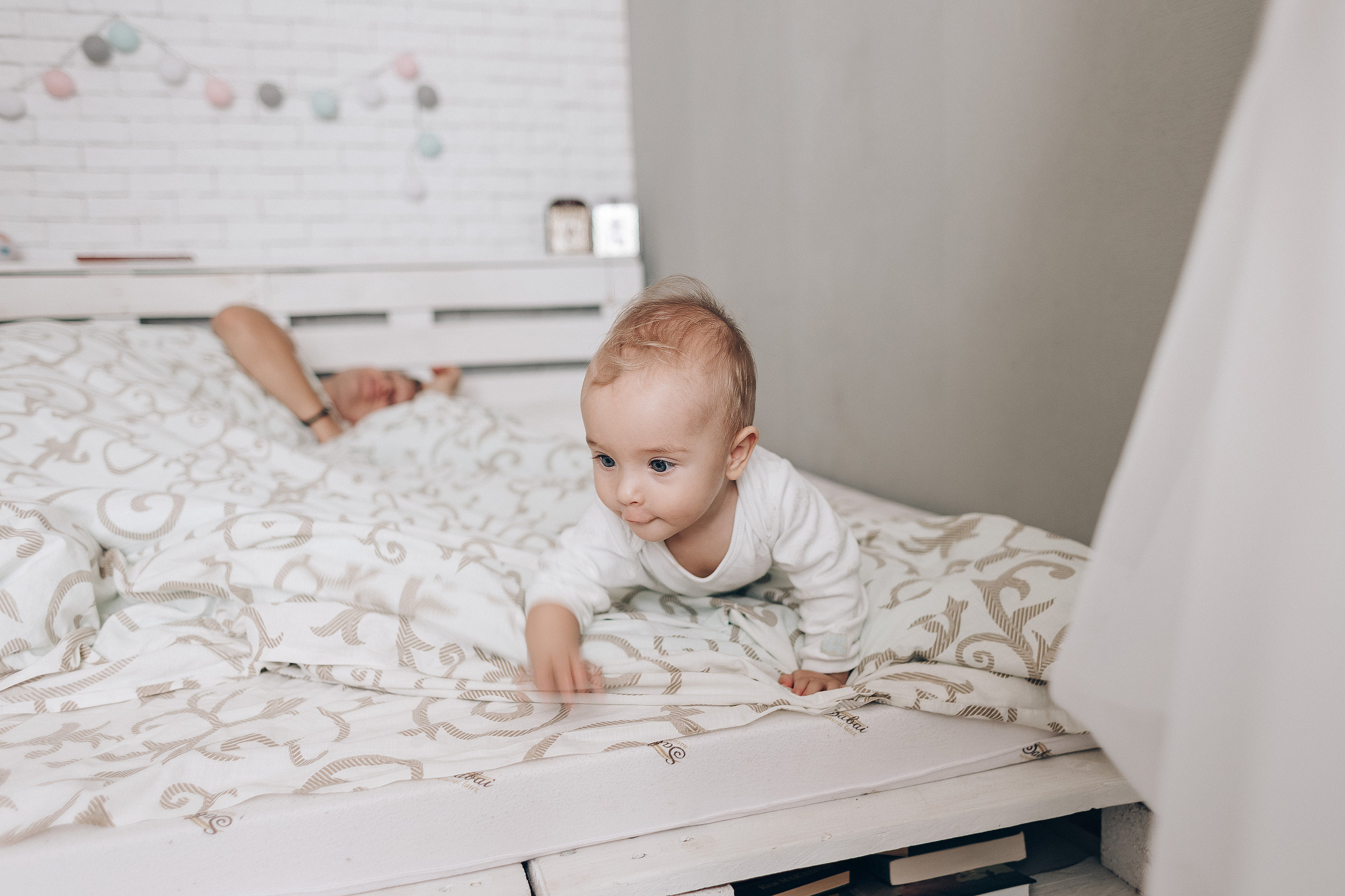 Little Lion. Photographer Calgary