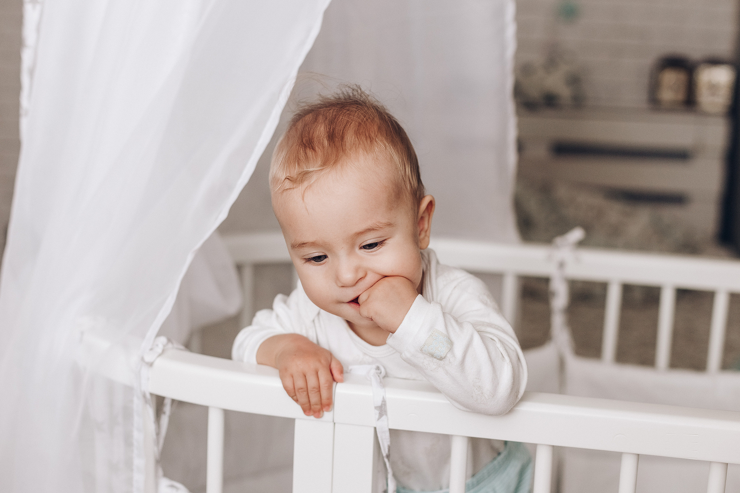 Little Lion. Photographer Calgary