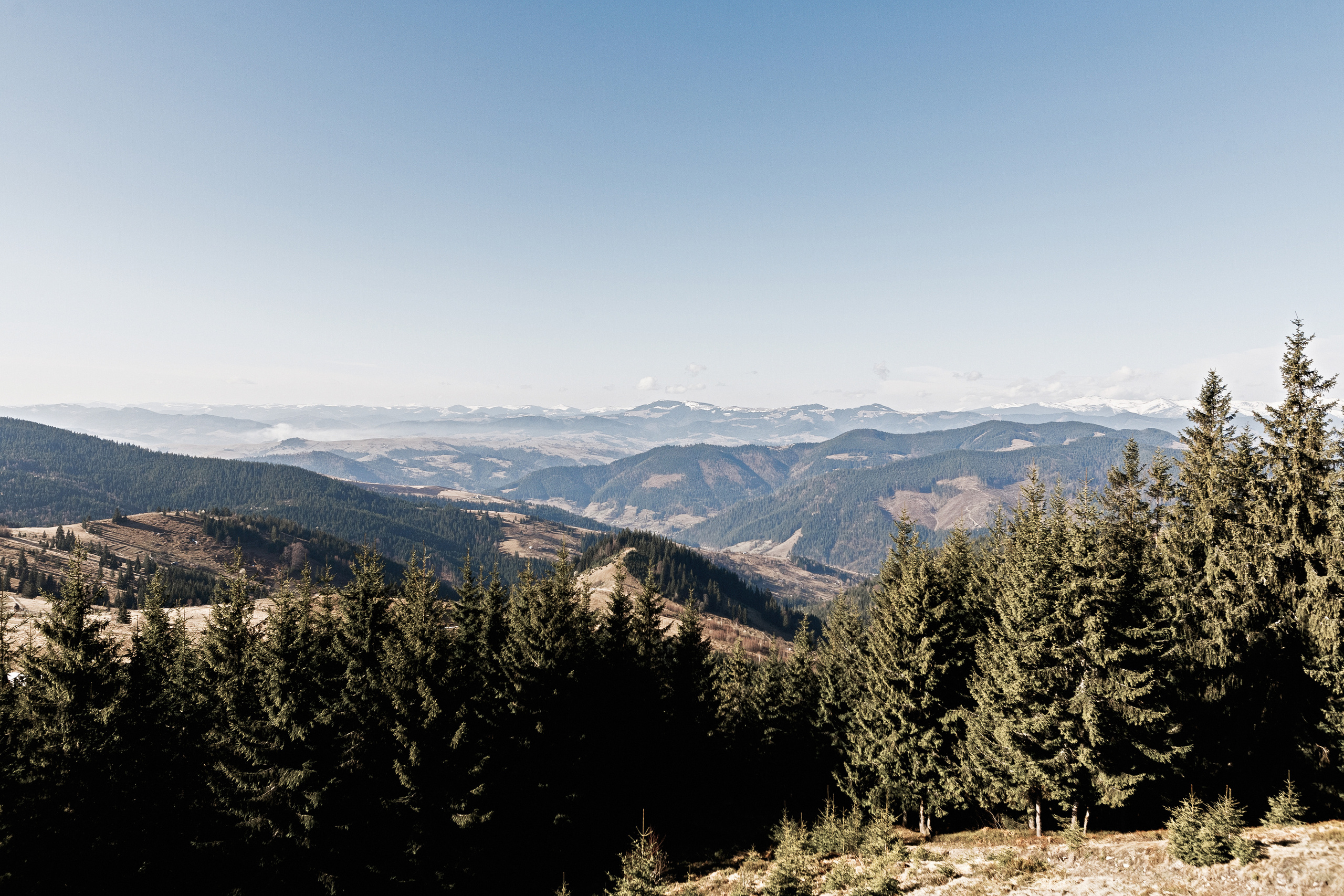 Happy moments. Photographer Calgary