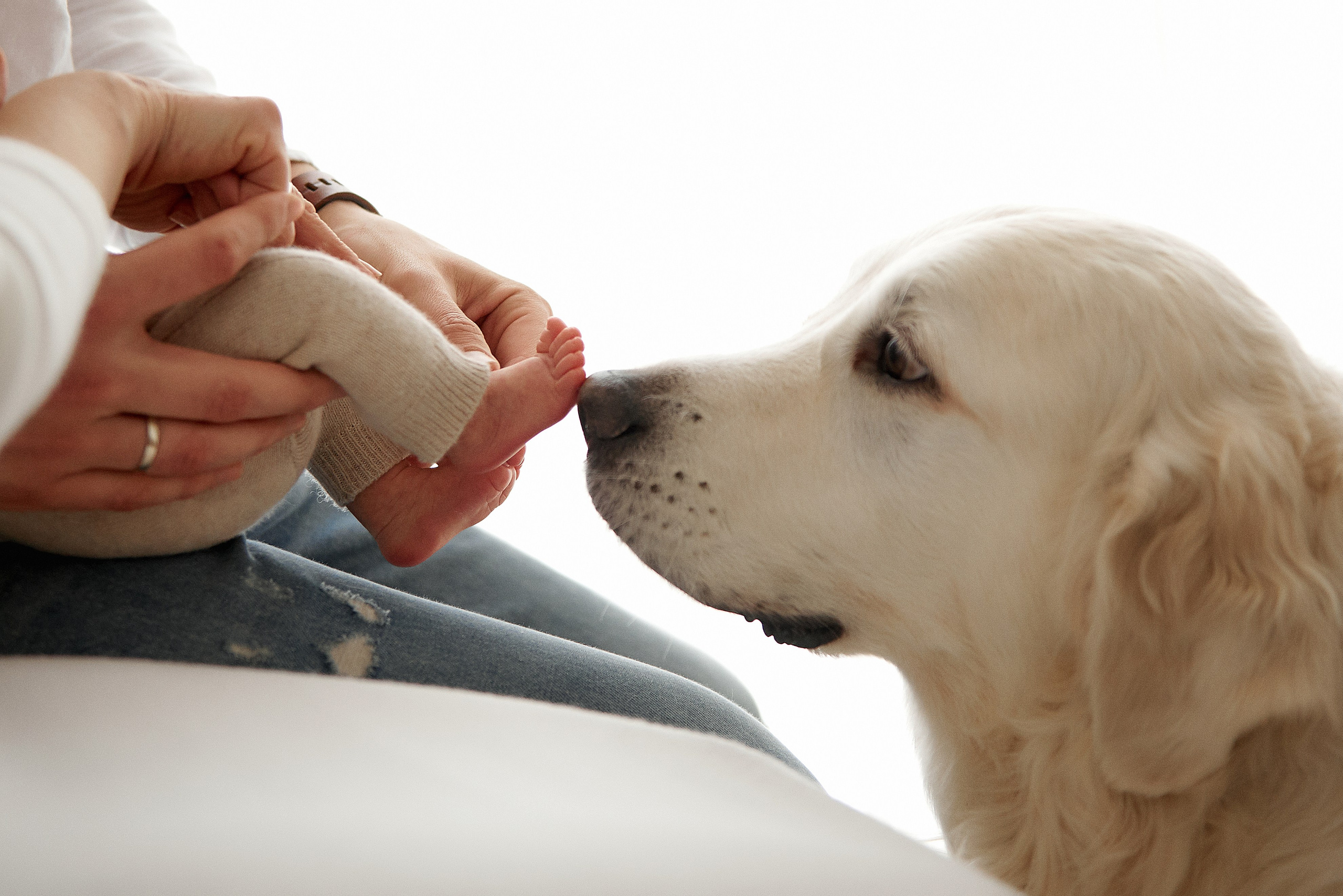 Дамір 7 тижнів. Фотограф новонароджених діток та їх сімей в Тернополі