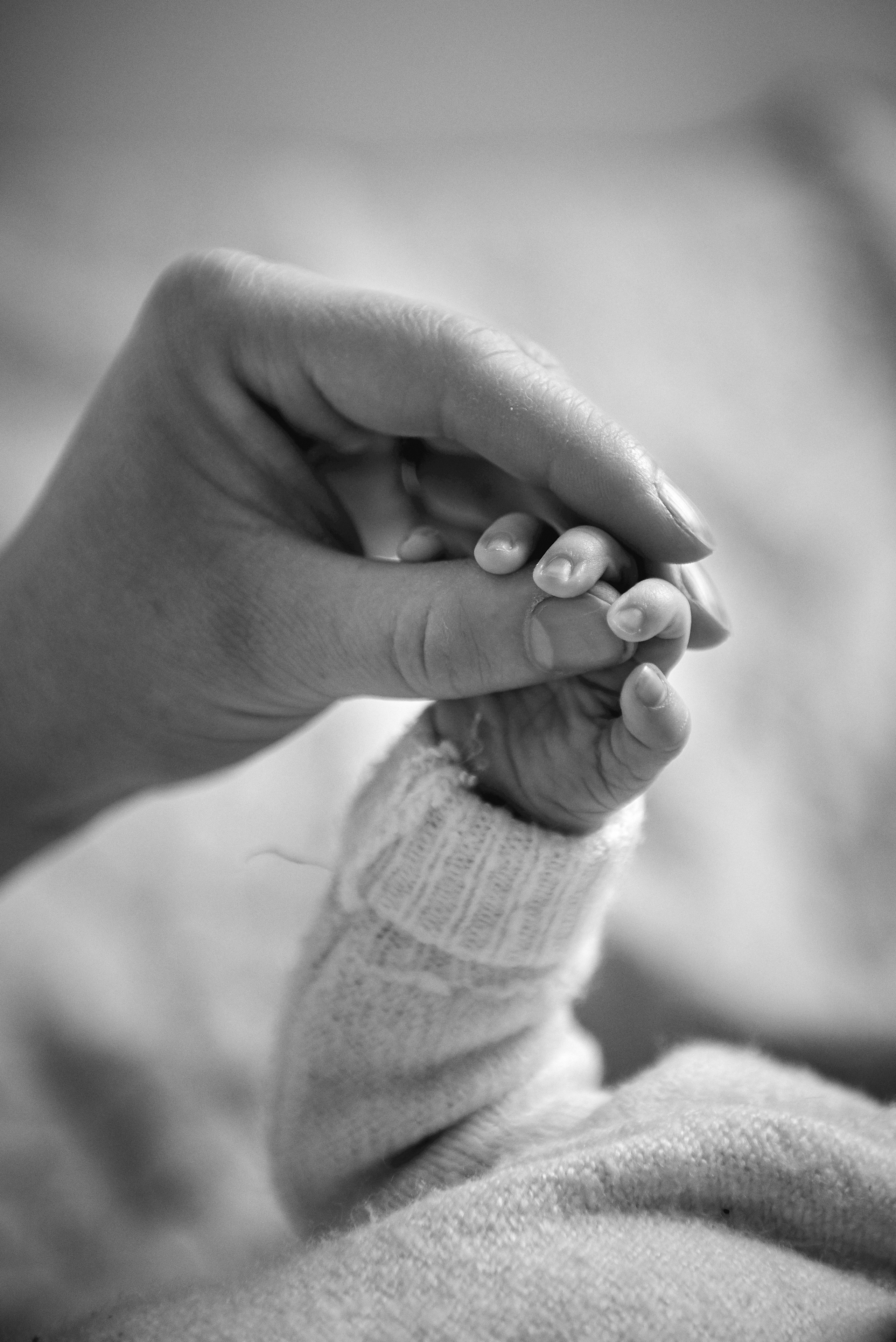 Таня Софія Віктор і Лєра. Фотограф новонароджених діток та їх сімей в Тернополі