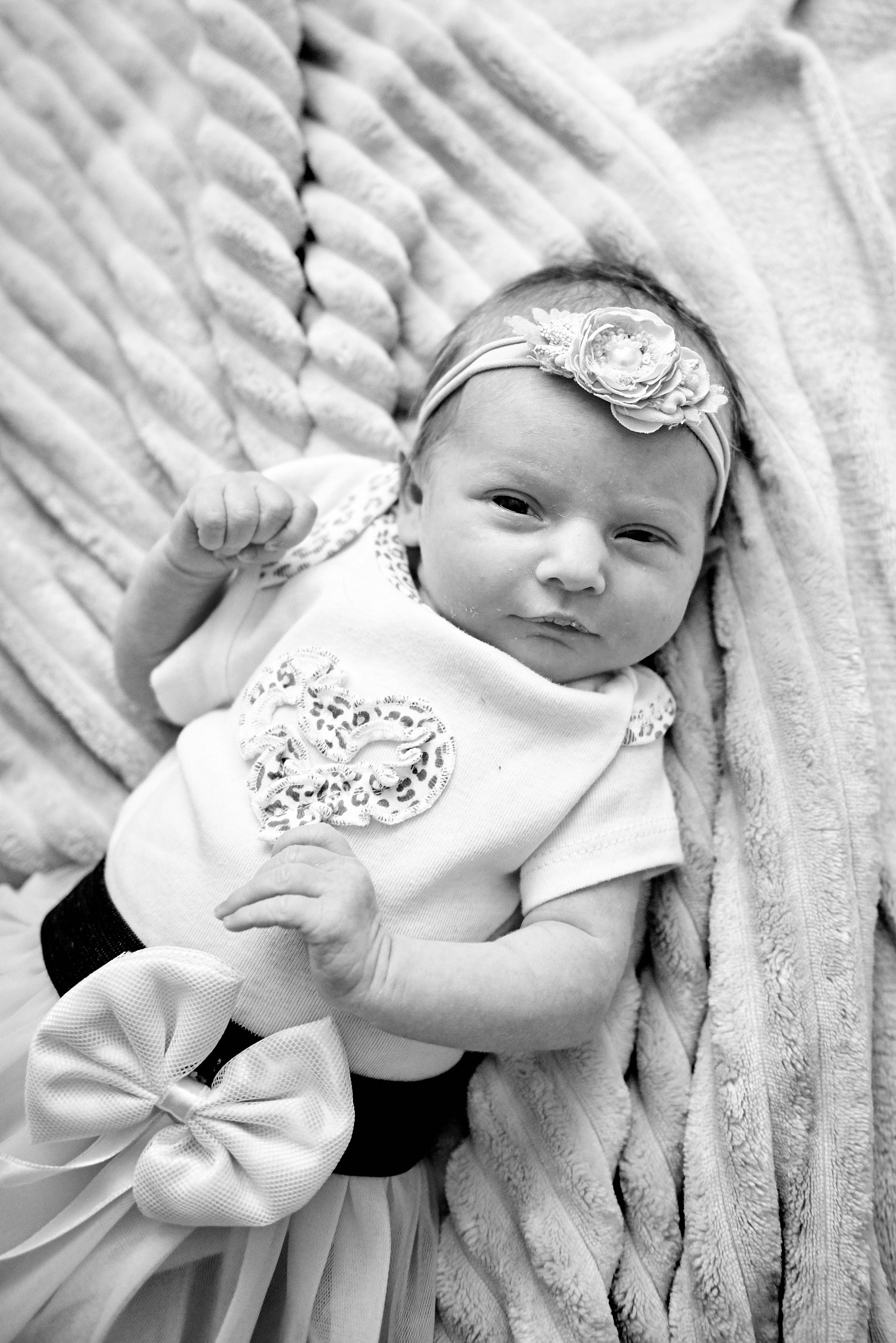 Олена та Влад Емма Єва та Еліна 9 днів життя. Фотограф новонароджених діток та їх сімей в Тернополі