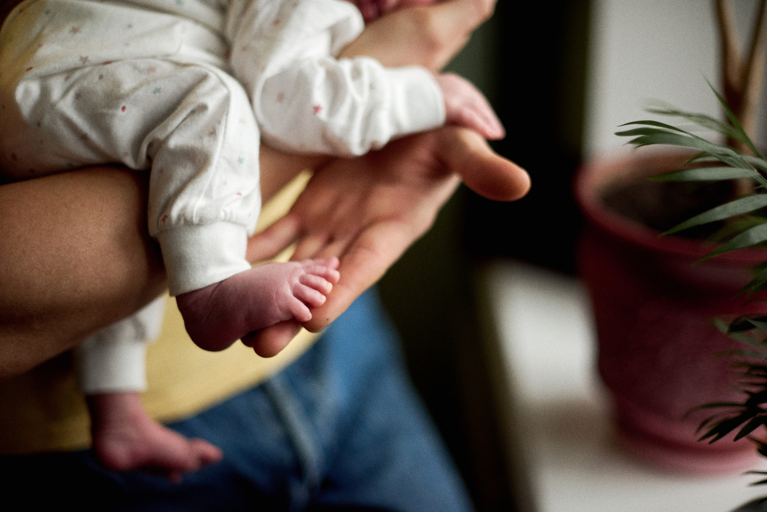 Аня Володя і Назар. Фотограф новонароджених діток та їх сімей в Тернополі