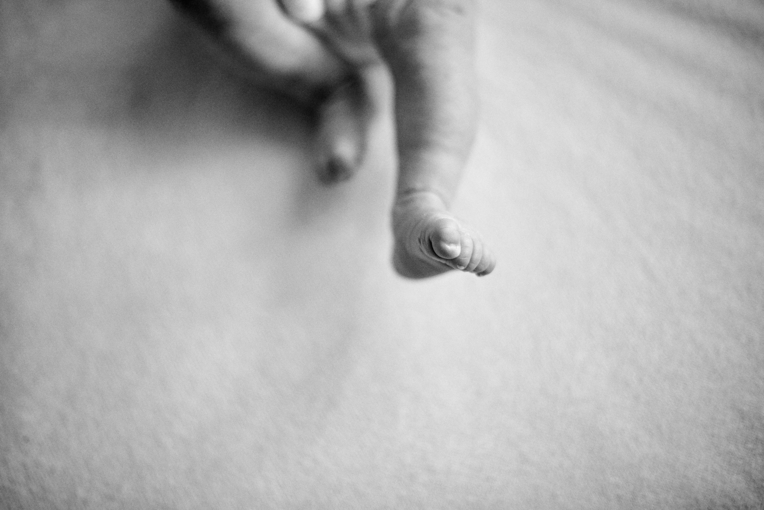 Таня Софія Віктор і Лєра. Фотограф новонароджених діток та їх сімей в Тернополі