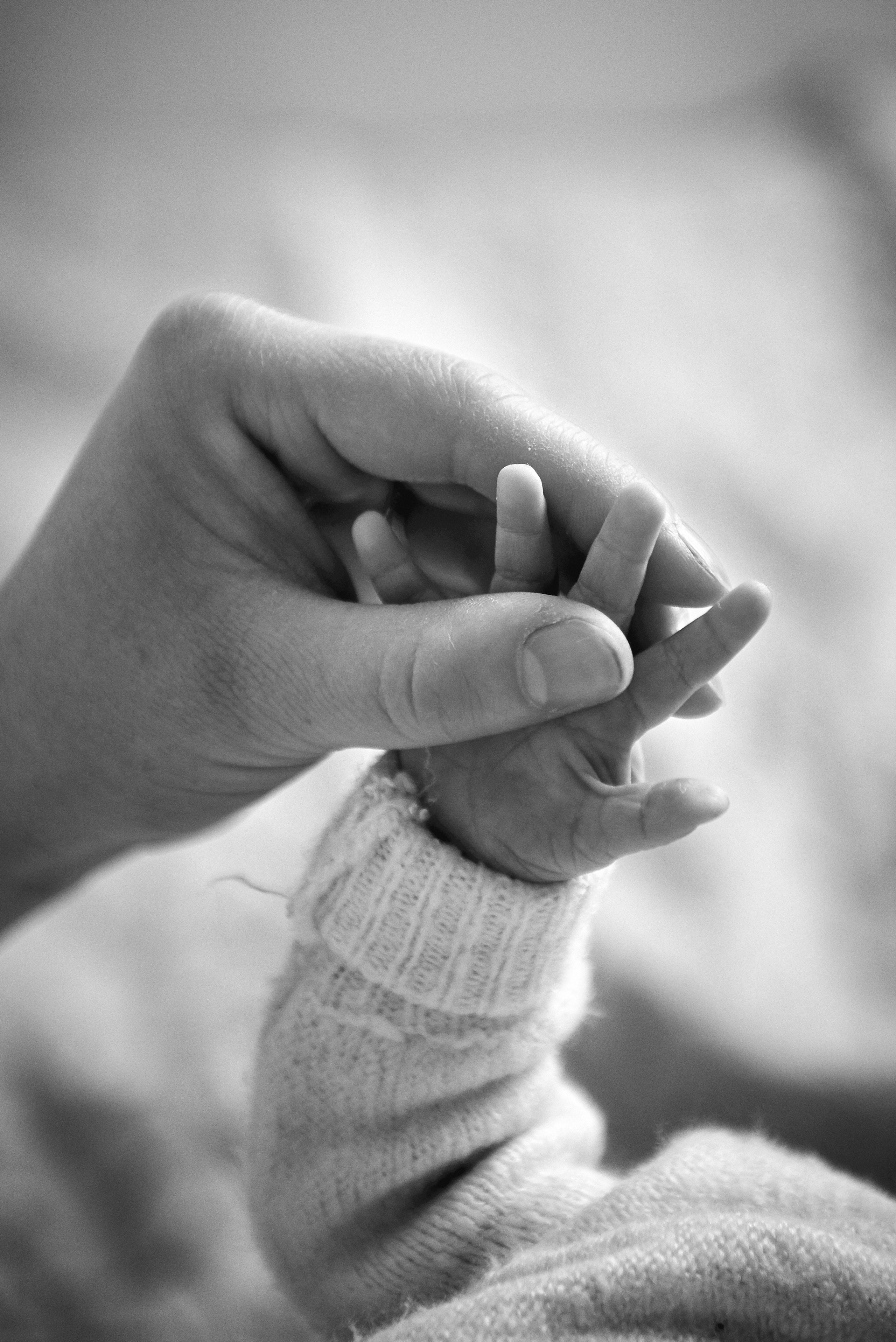 Таня Софія Віктор і Лєра. Фотограф новонароджених діток та їх сімей в Тернополі