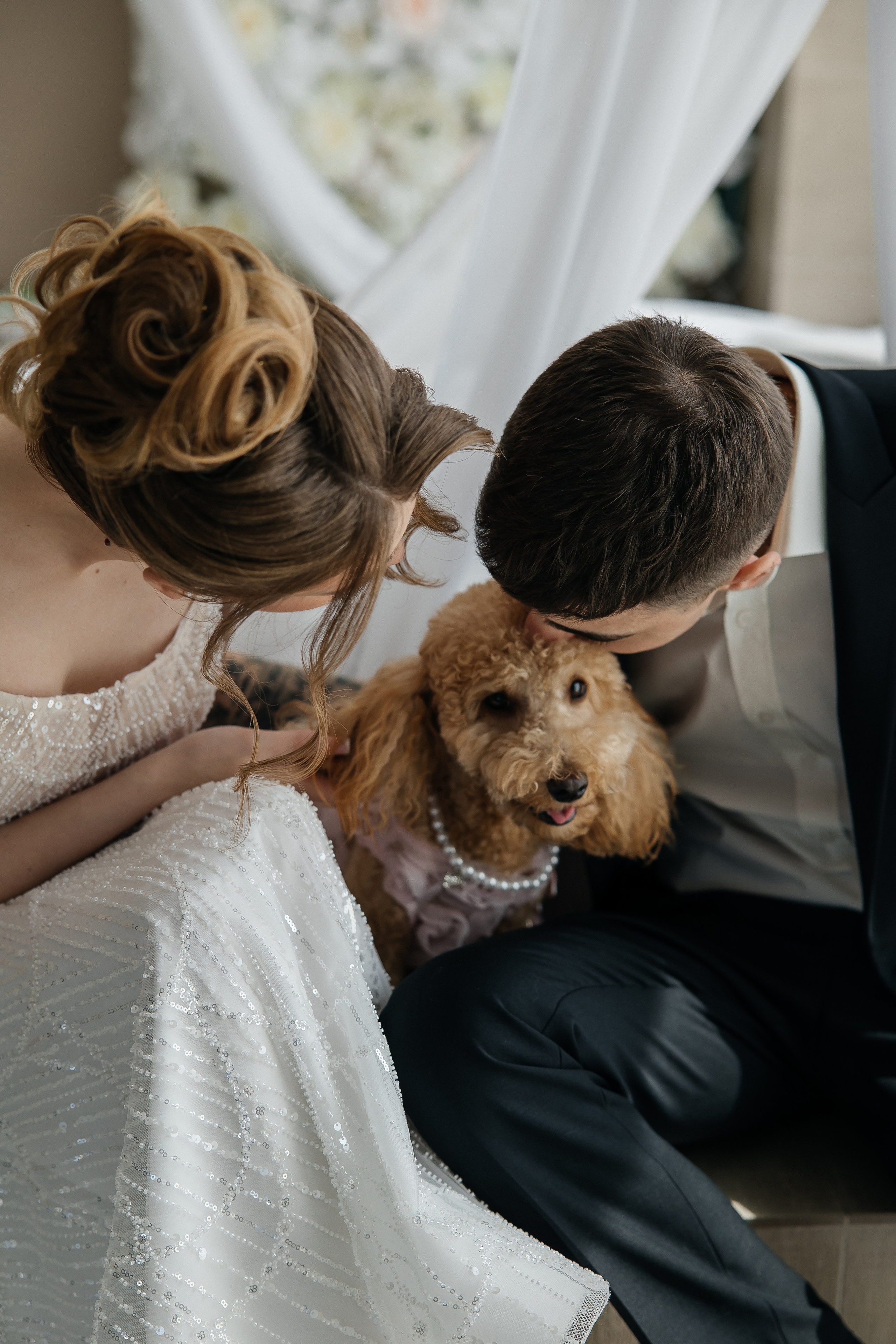 Oleg and Sofia. Весільний фотограф Любов Шарко Черкаси