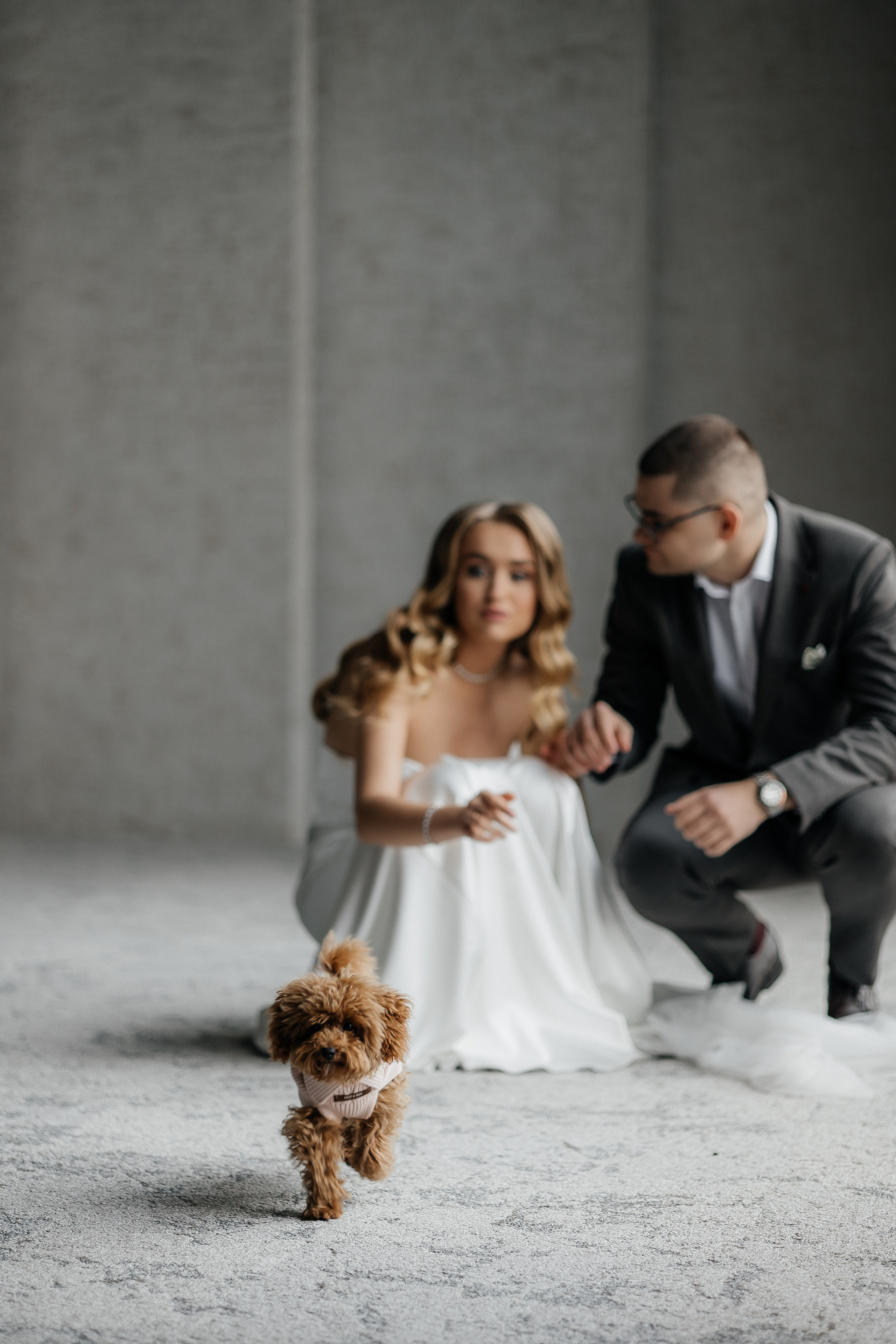 Eternally yours. Весільний фотограф Любов Шарко Черкаси