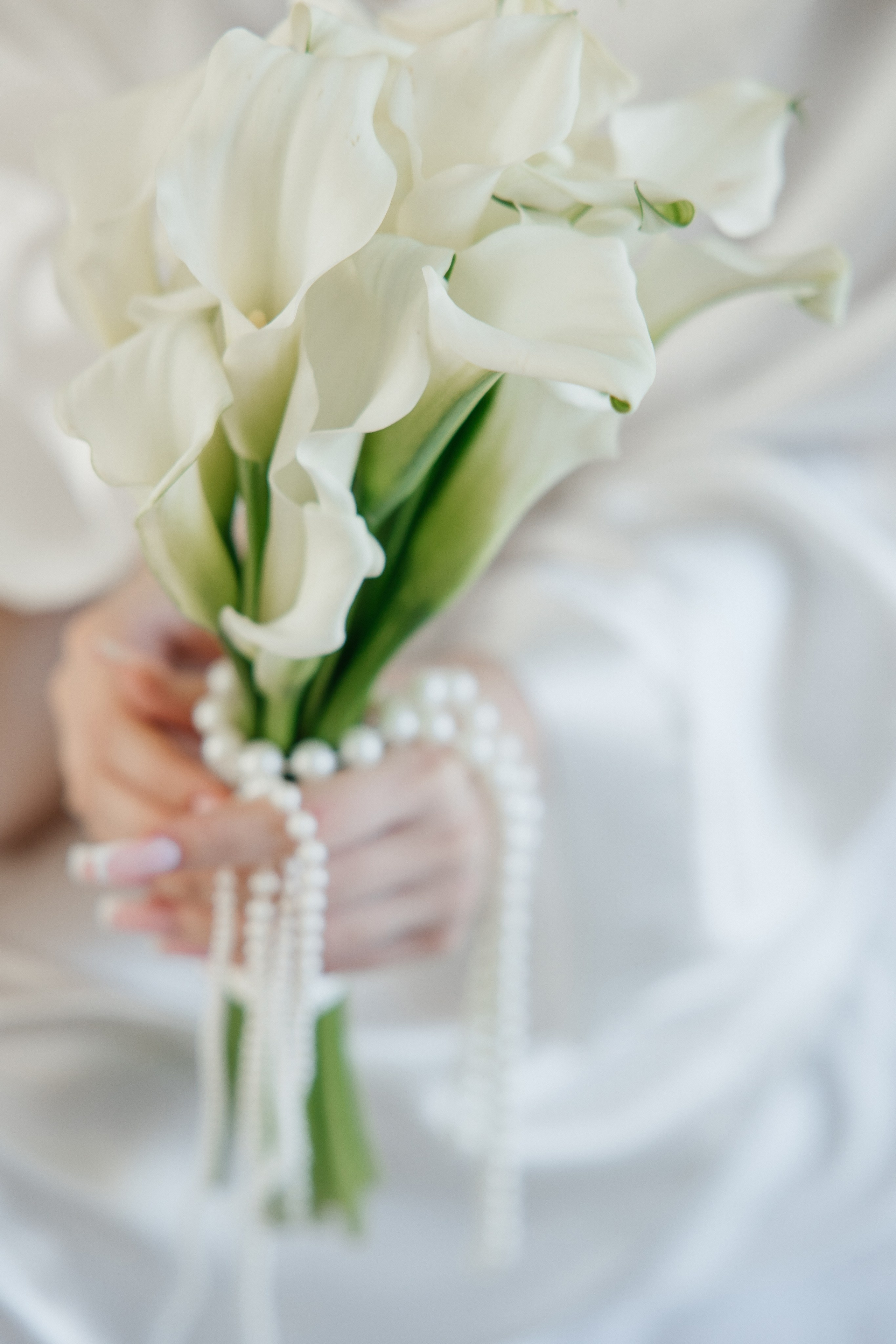 Oleg and Sofia. Весільний фотограф Любов Шарко Черкаси