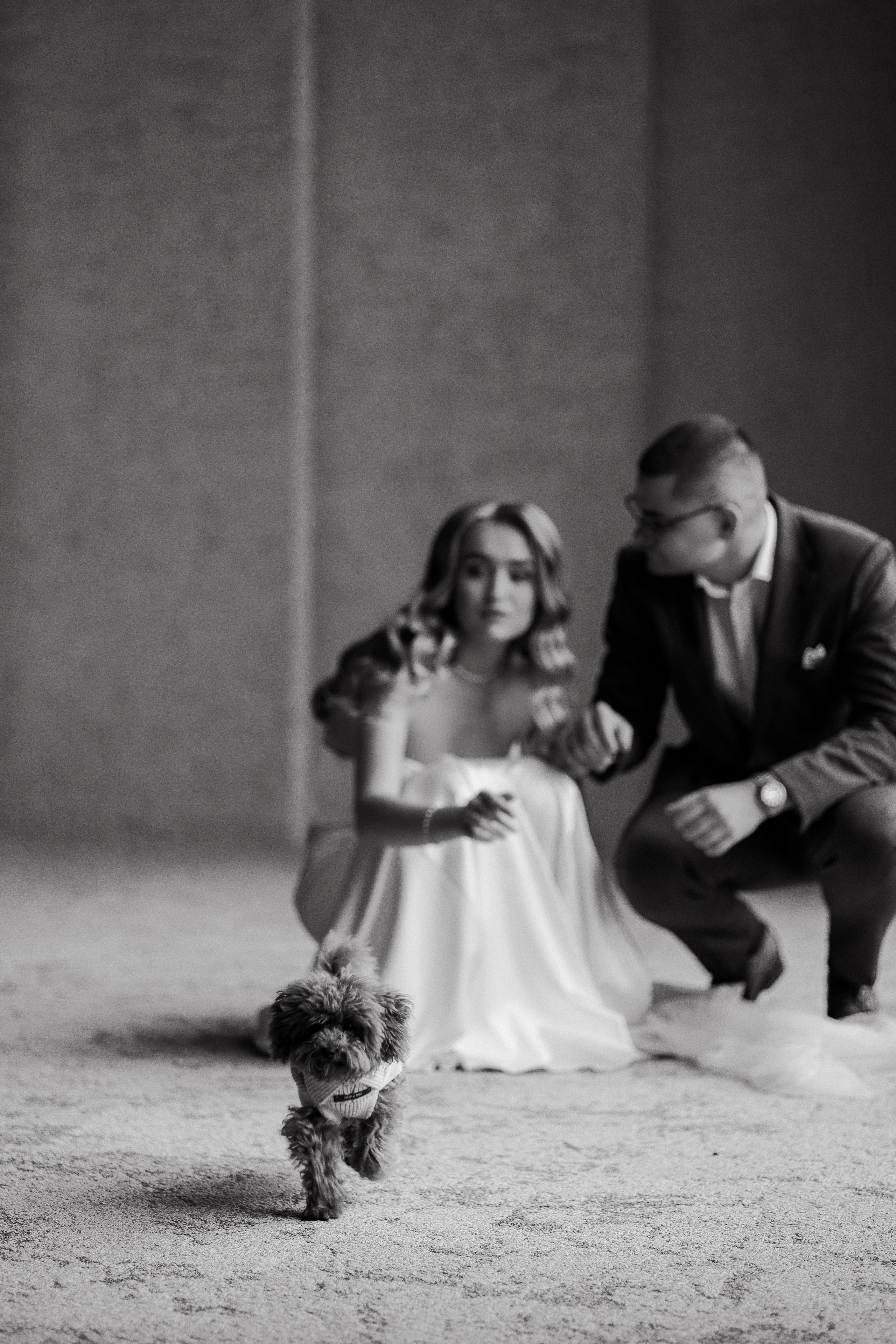 Eternally yours. Весільний фотограф Любов Шарко Черкаси