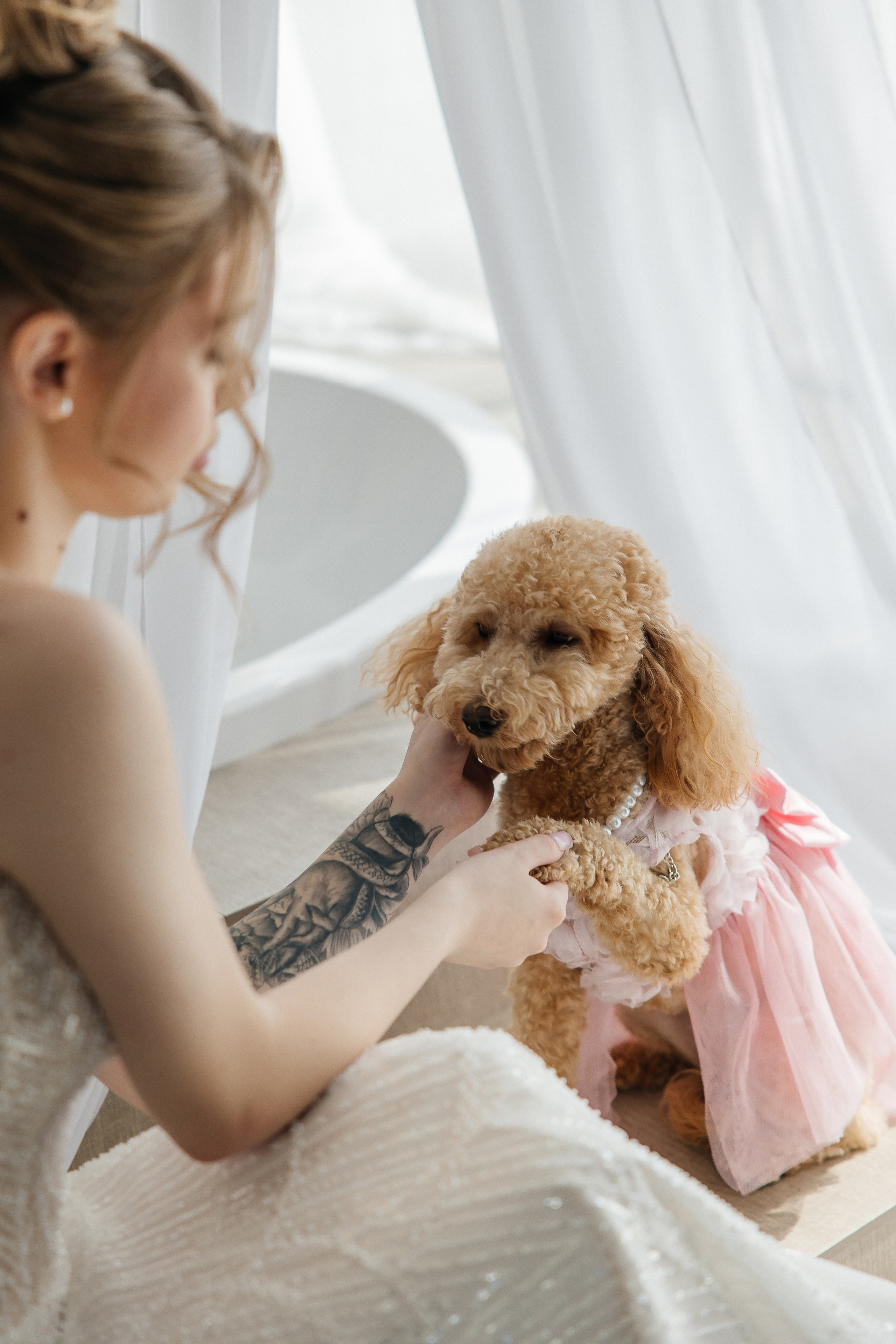 Oleg and Sofia. Весільний фотограф Любов Шарко Черкаси