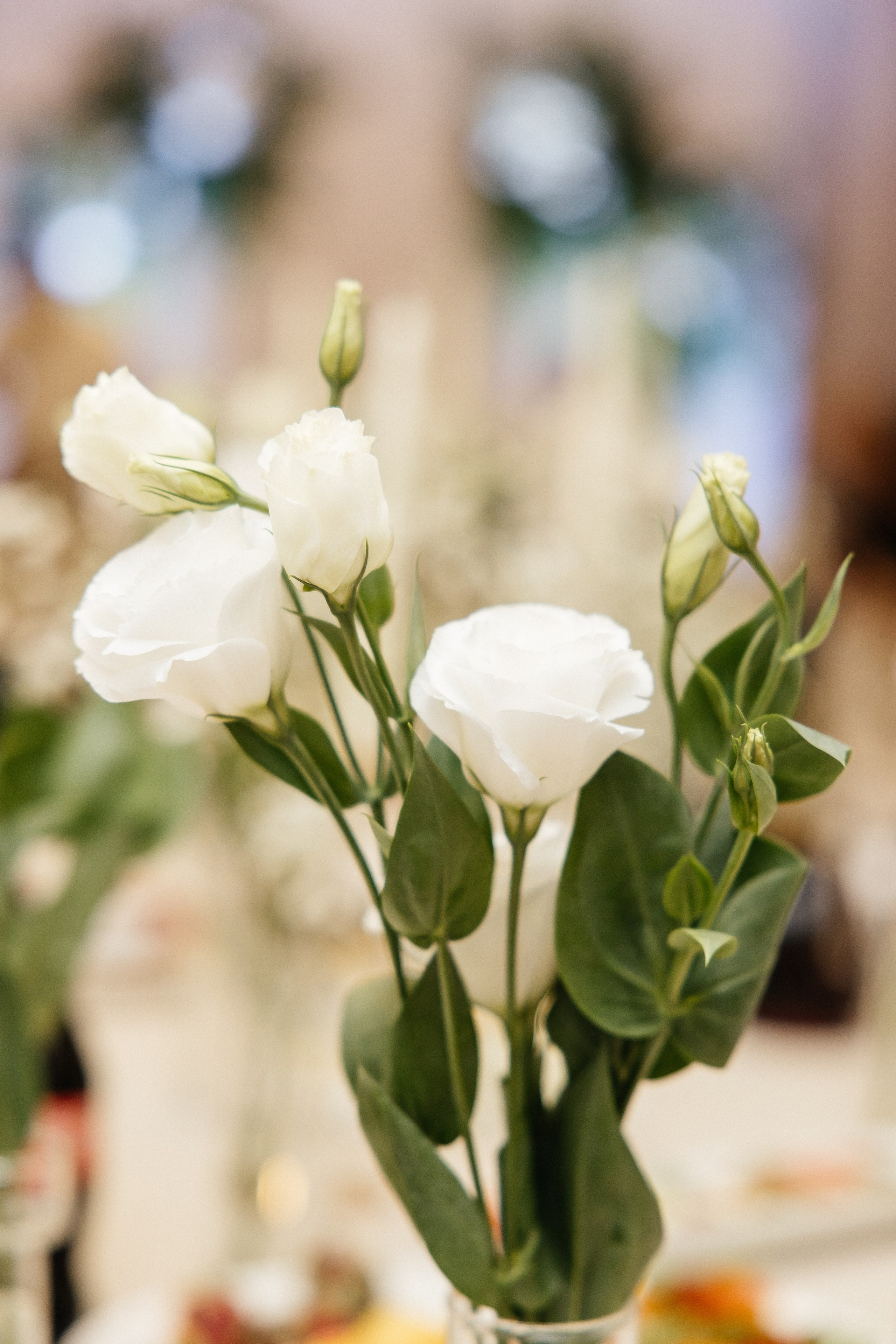 One love. Весільний фотограф Любов Шарко Черкаси