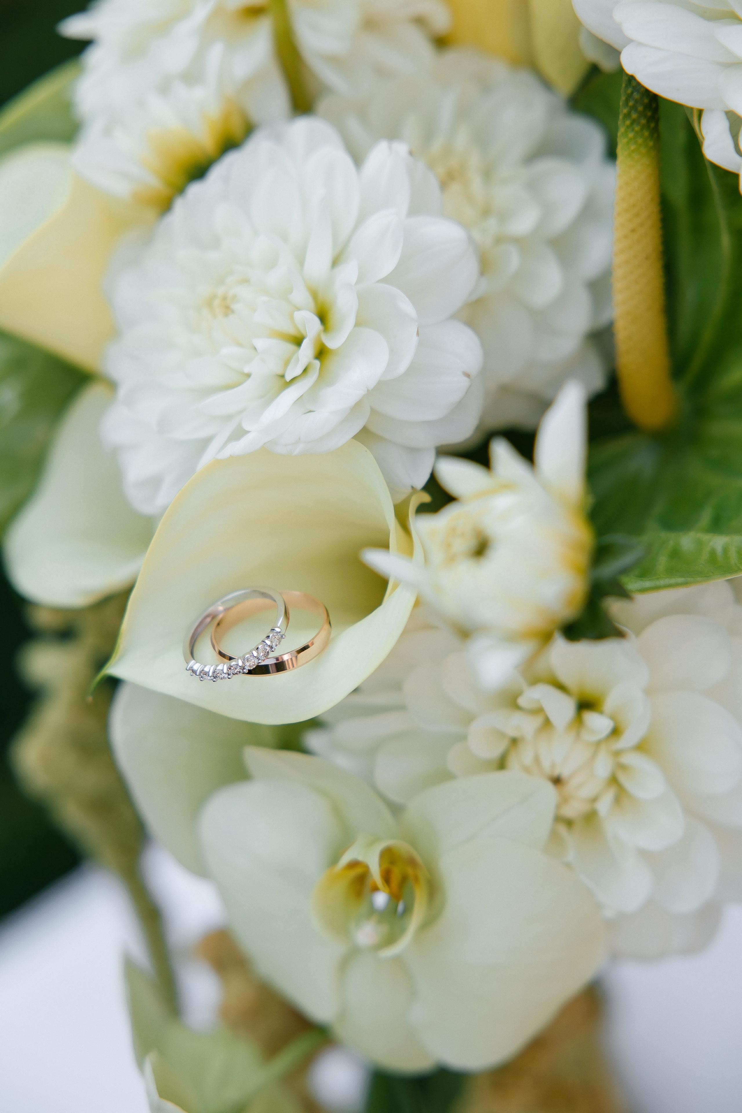 Andriy & Oleksandra. Весільний фотограф Любов Шарко Черкаси