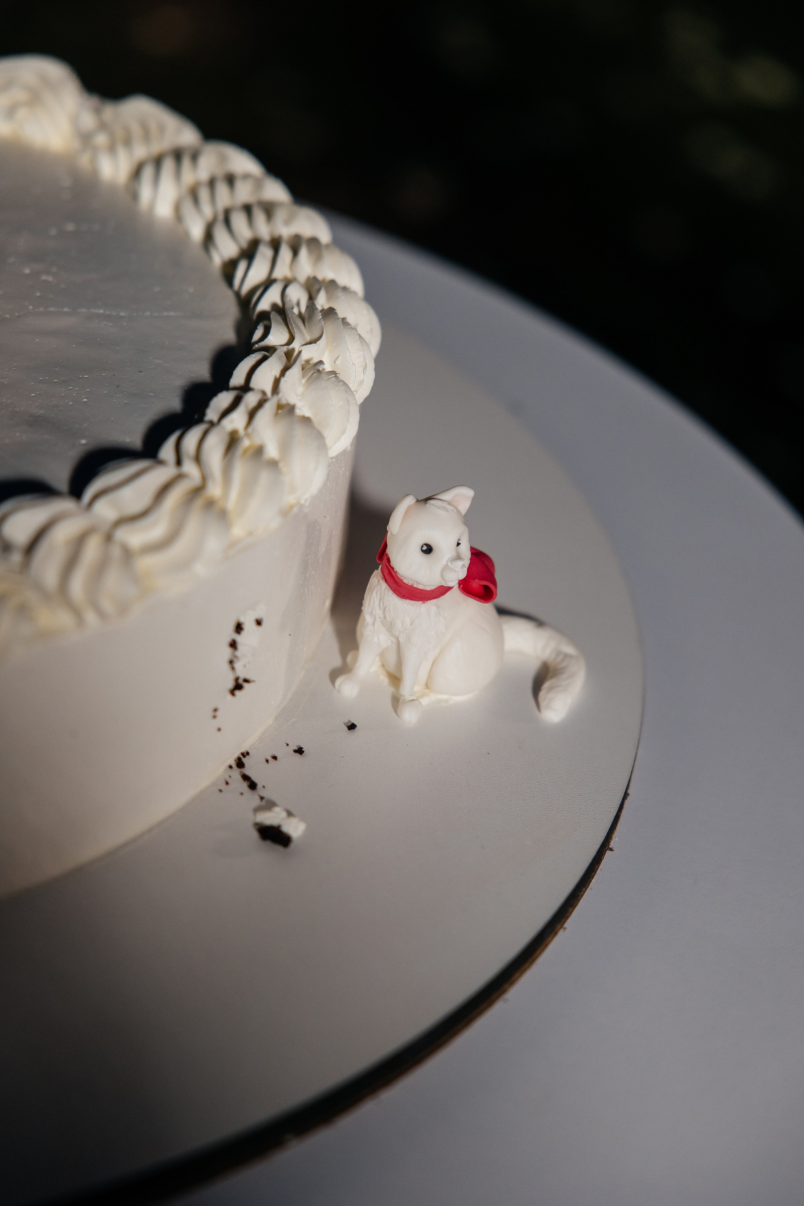 I & A. Весільний фотограф Любов Шарко Черкаси