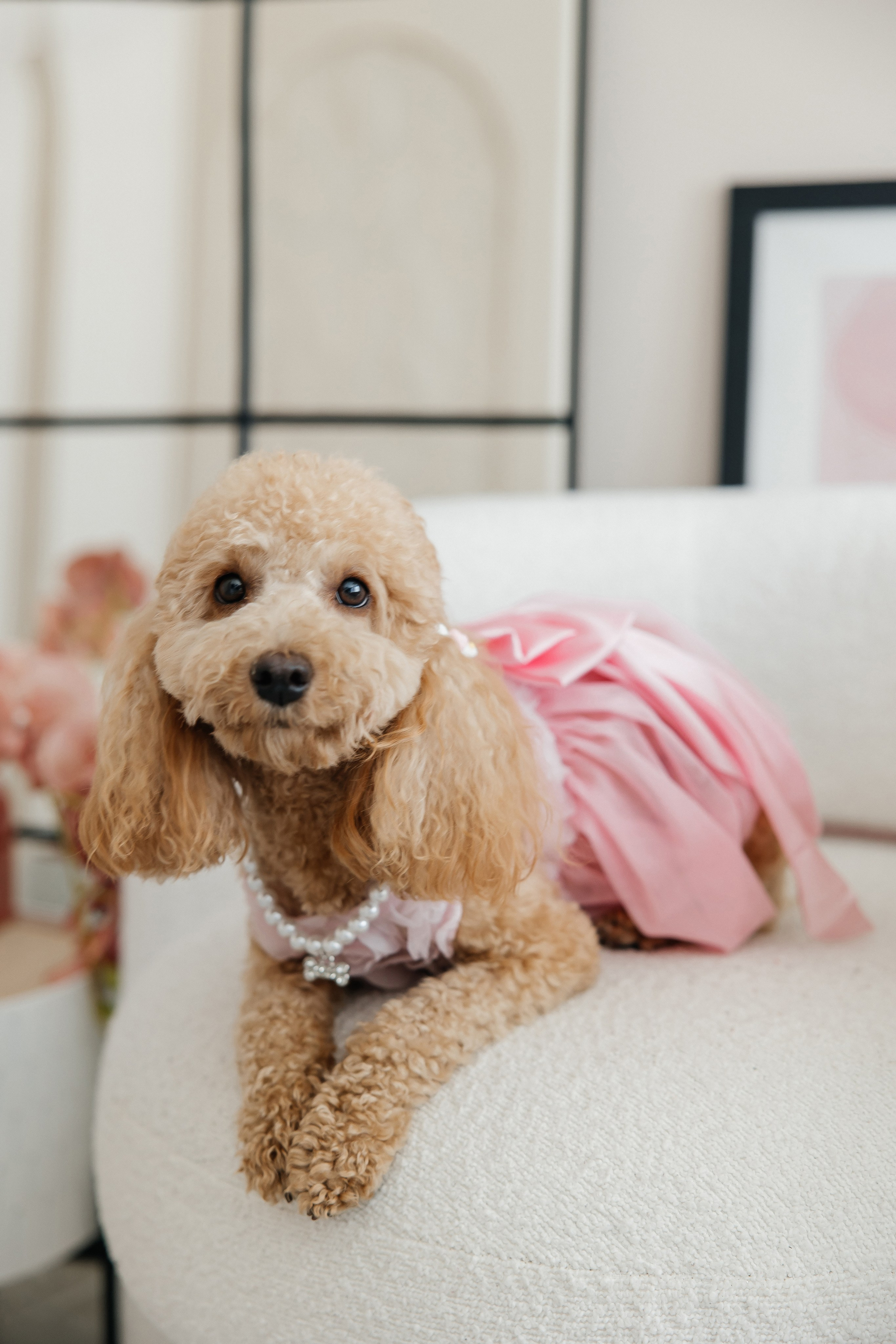 Oleg and Sofia. Весільний фотограф Любов Шарко Черкаси