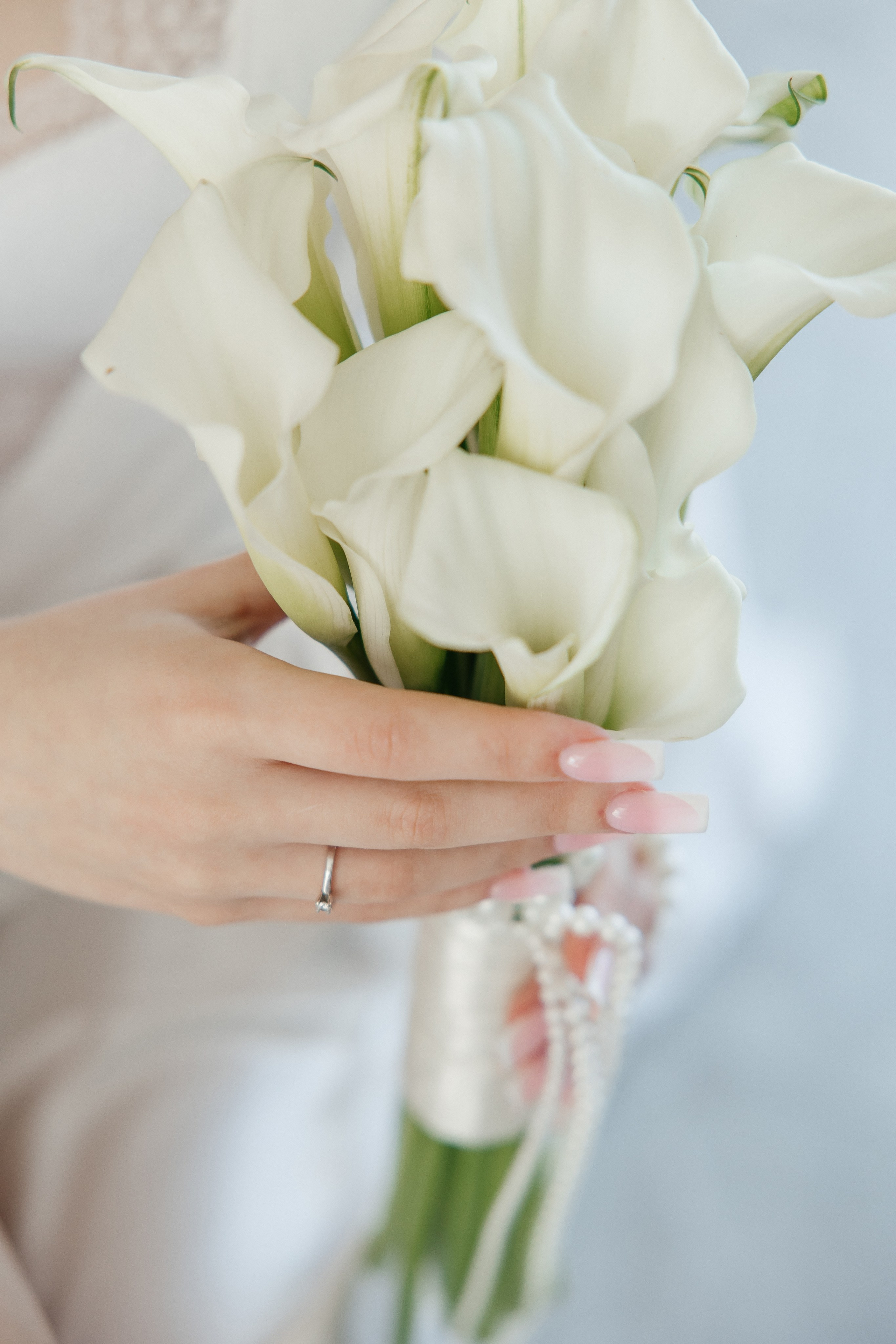 Oleg and Sofia. Весільний фотограф Любов Шарко Черкаси