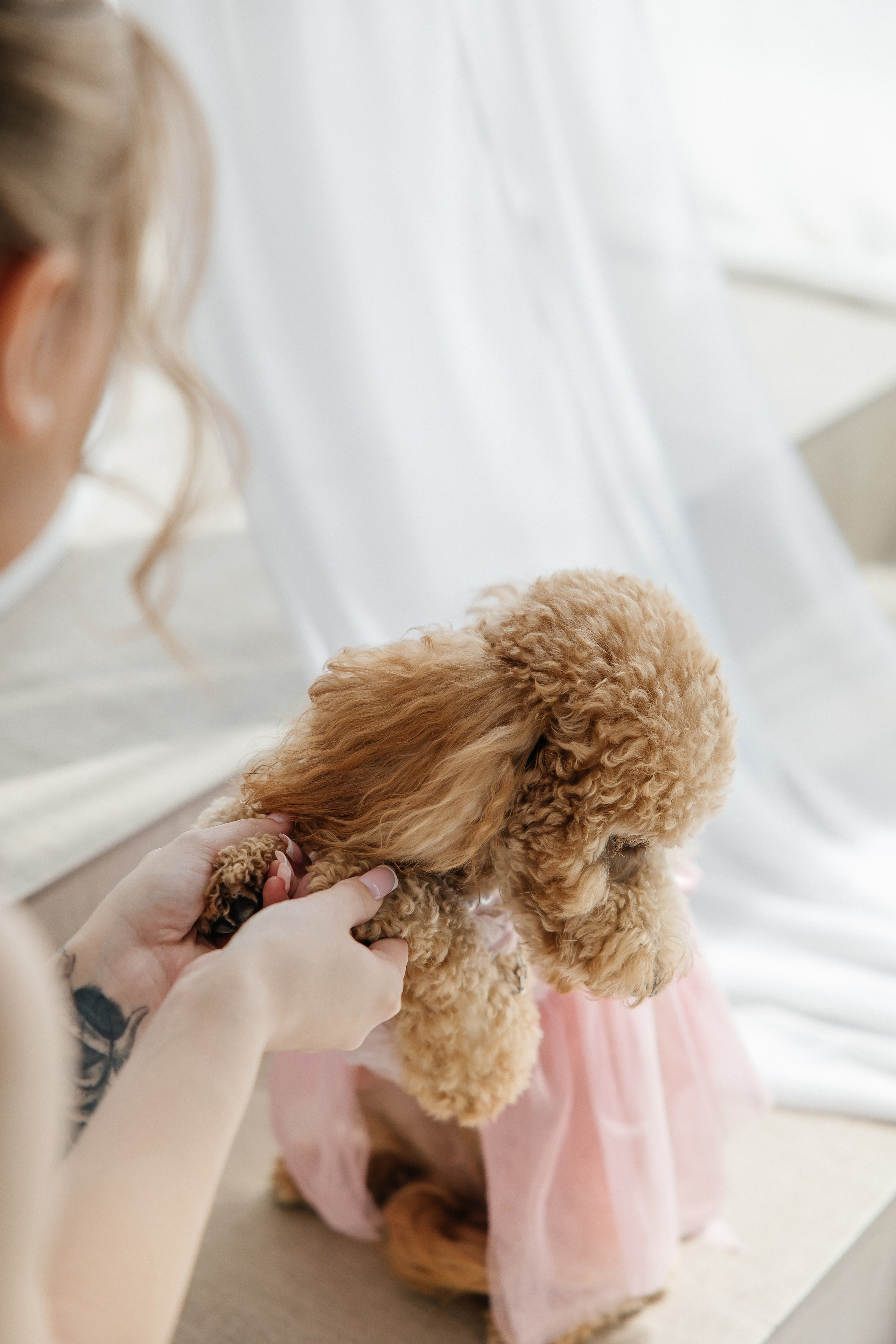 Oleg and Sofia. Весільний фотограф Любов Шарко Черкаси