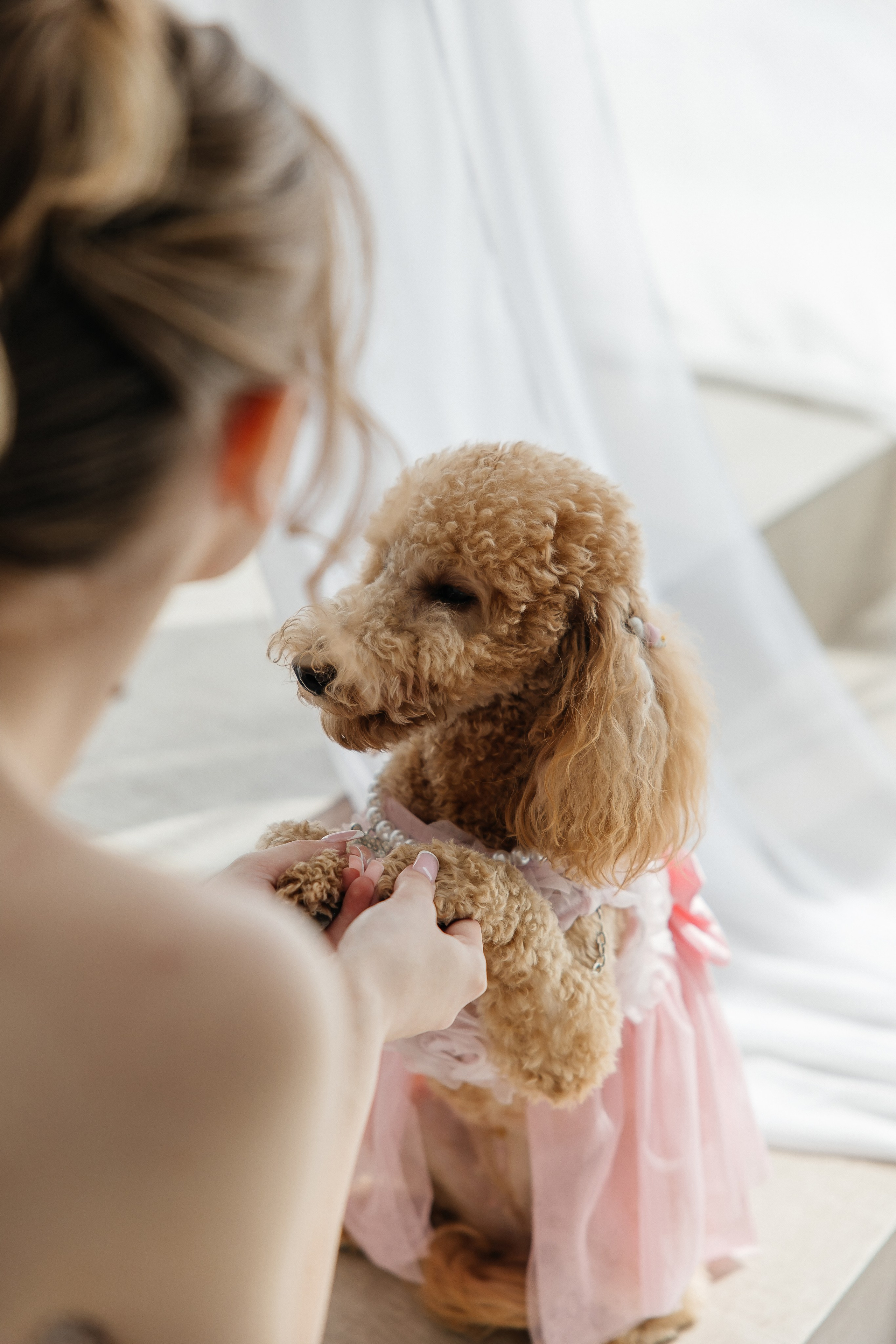 Oleg and Sofia. Весільний фотограф Любов Шарко Черкаси