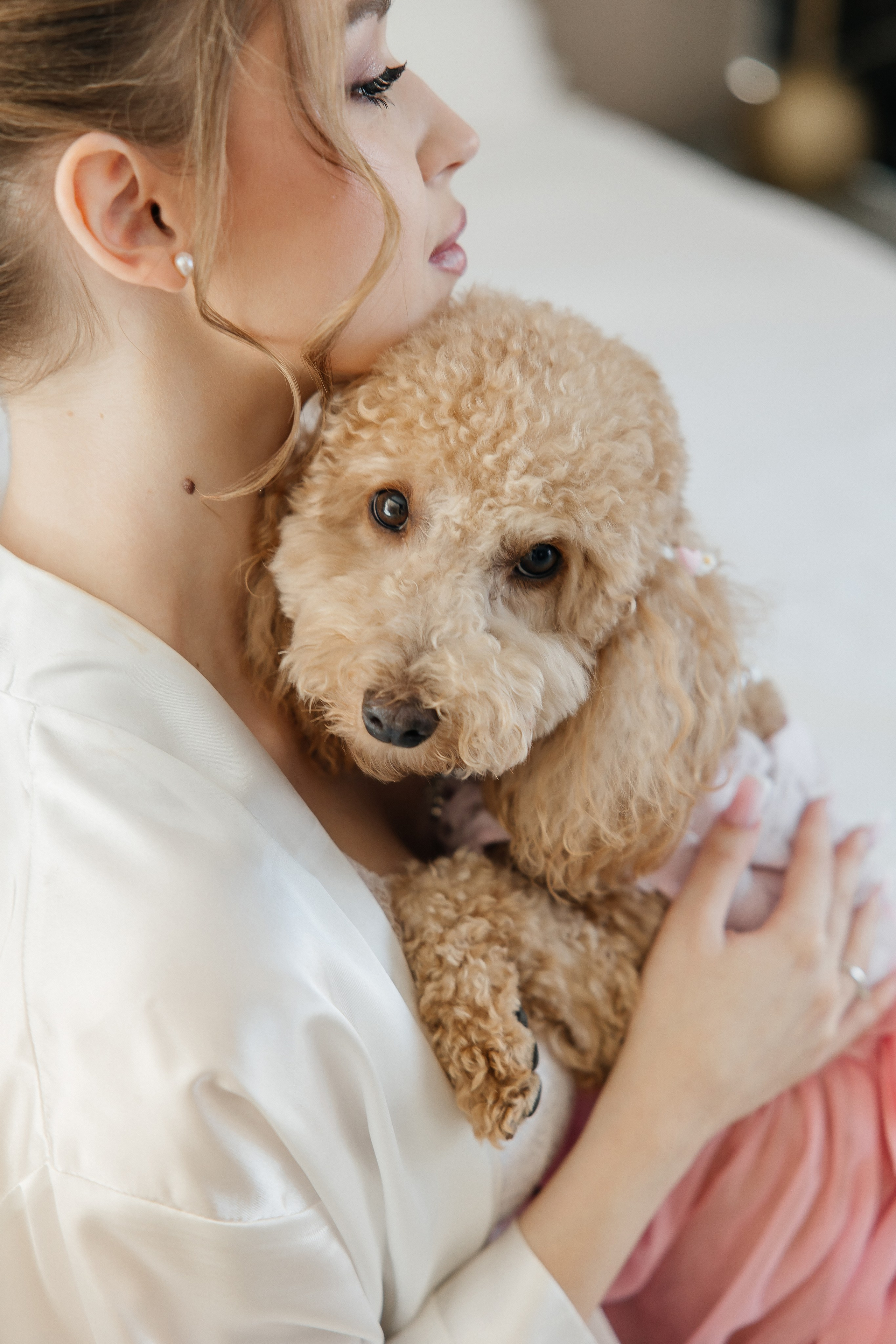 Oleg and Sofia. Весільний фотограф Любов Шарко Черкаси