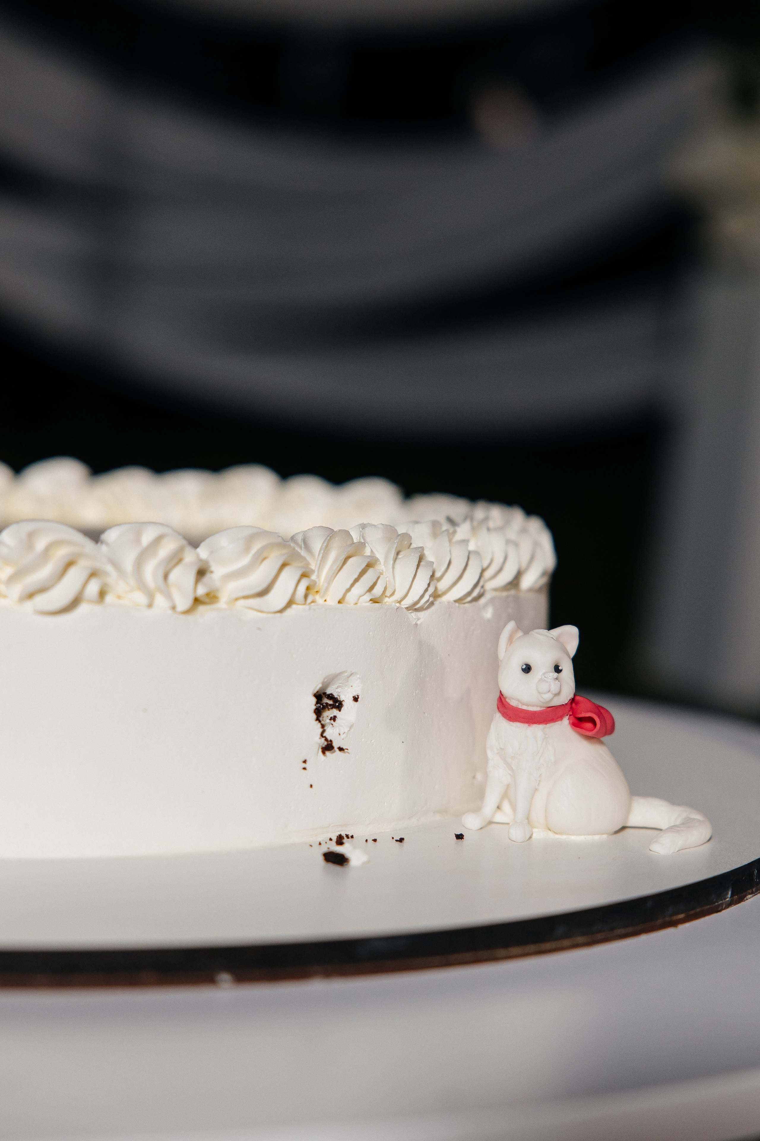 I & A. Весільний фотограф Любов Шарко Черкаси