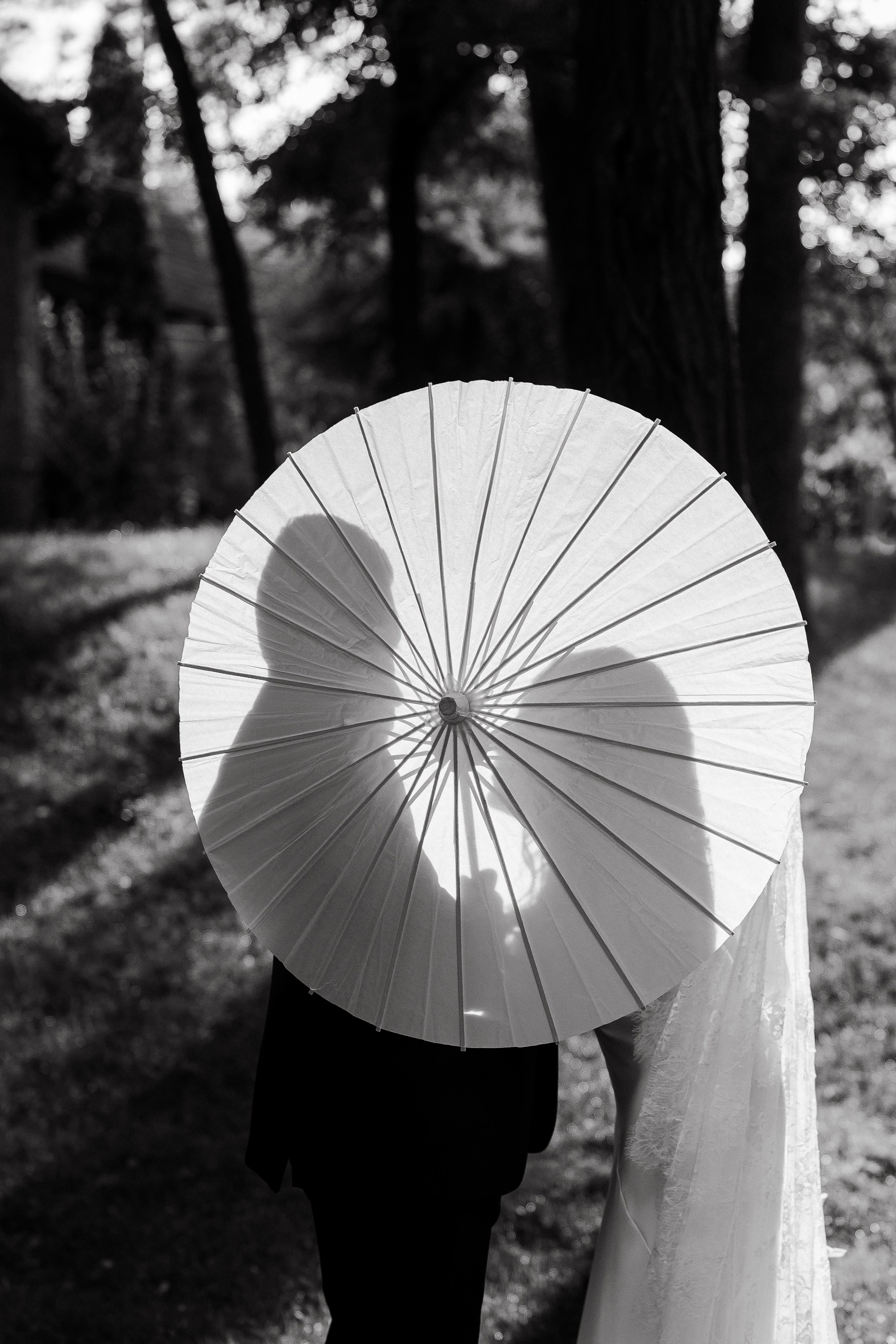 Mykhailo & Diana. Весільний фотограф Любов Шарко Черкаси