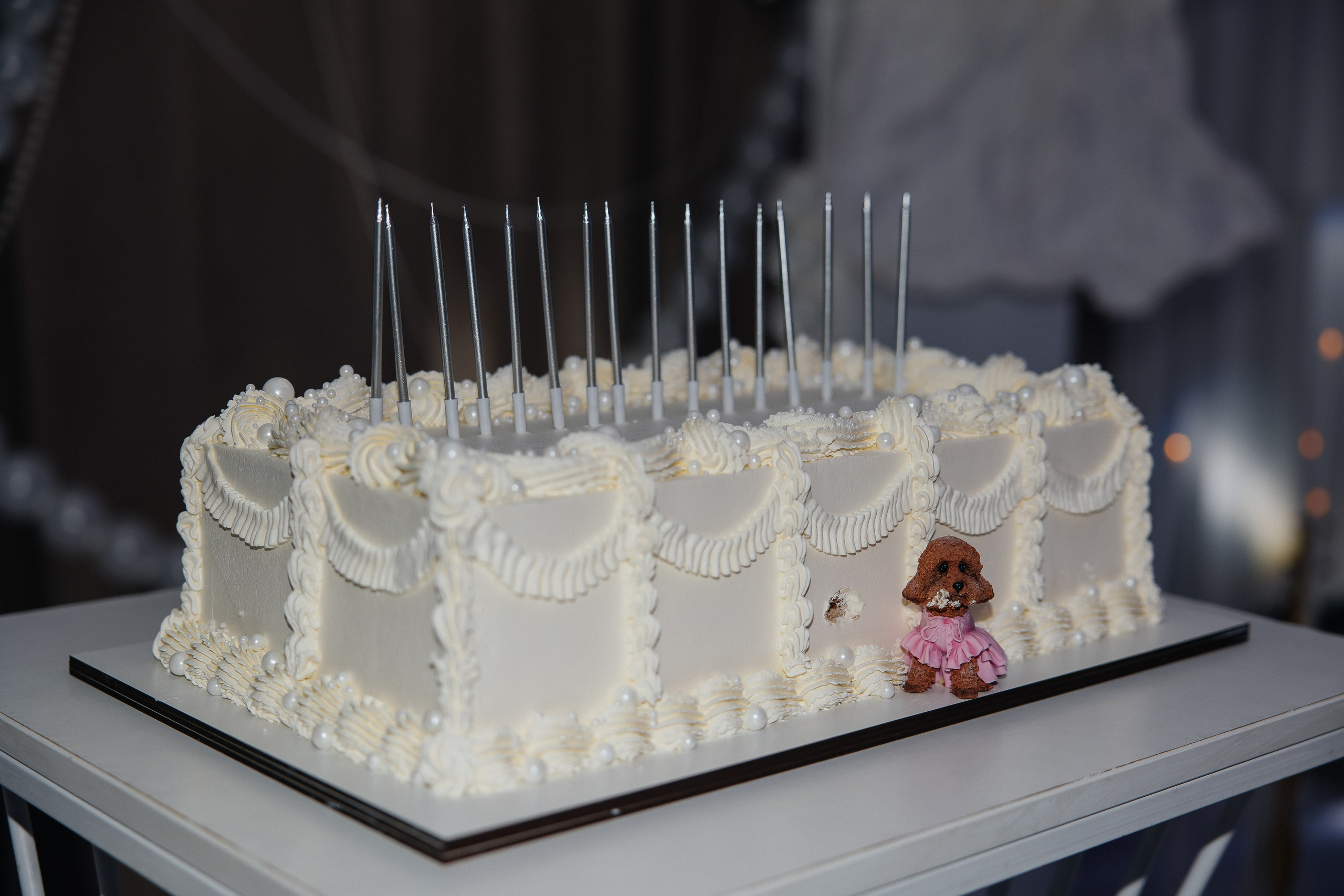 Oleg and Sofia. Весільний фотограф Любов Шарко Черкаси