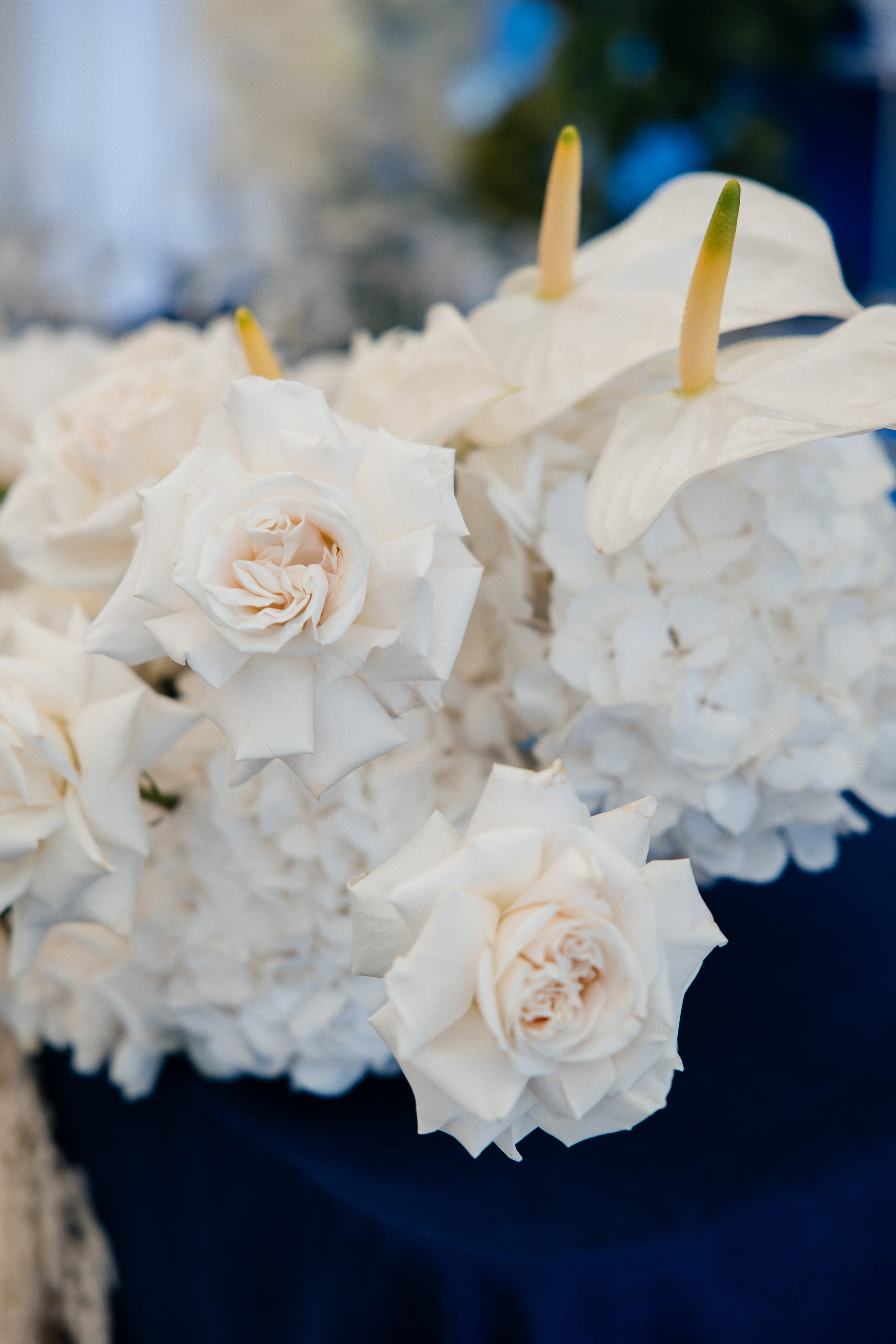 Andriy & Oleksandra. Весільний фотограф Любов Шарко Черкаси