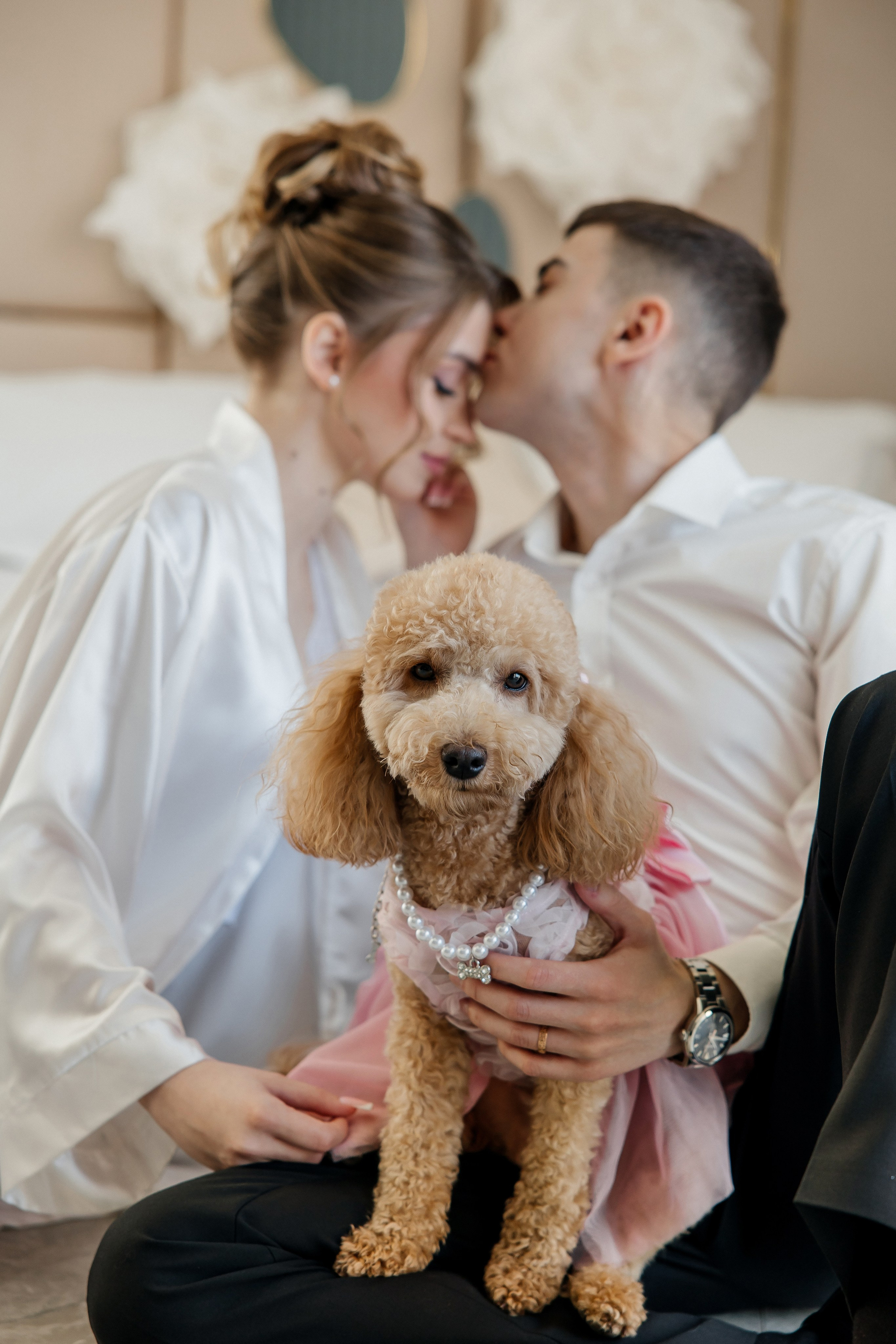 Oleg and Sofia. Весільний фотограф Любов Шарко Черкаси