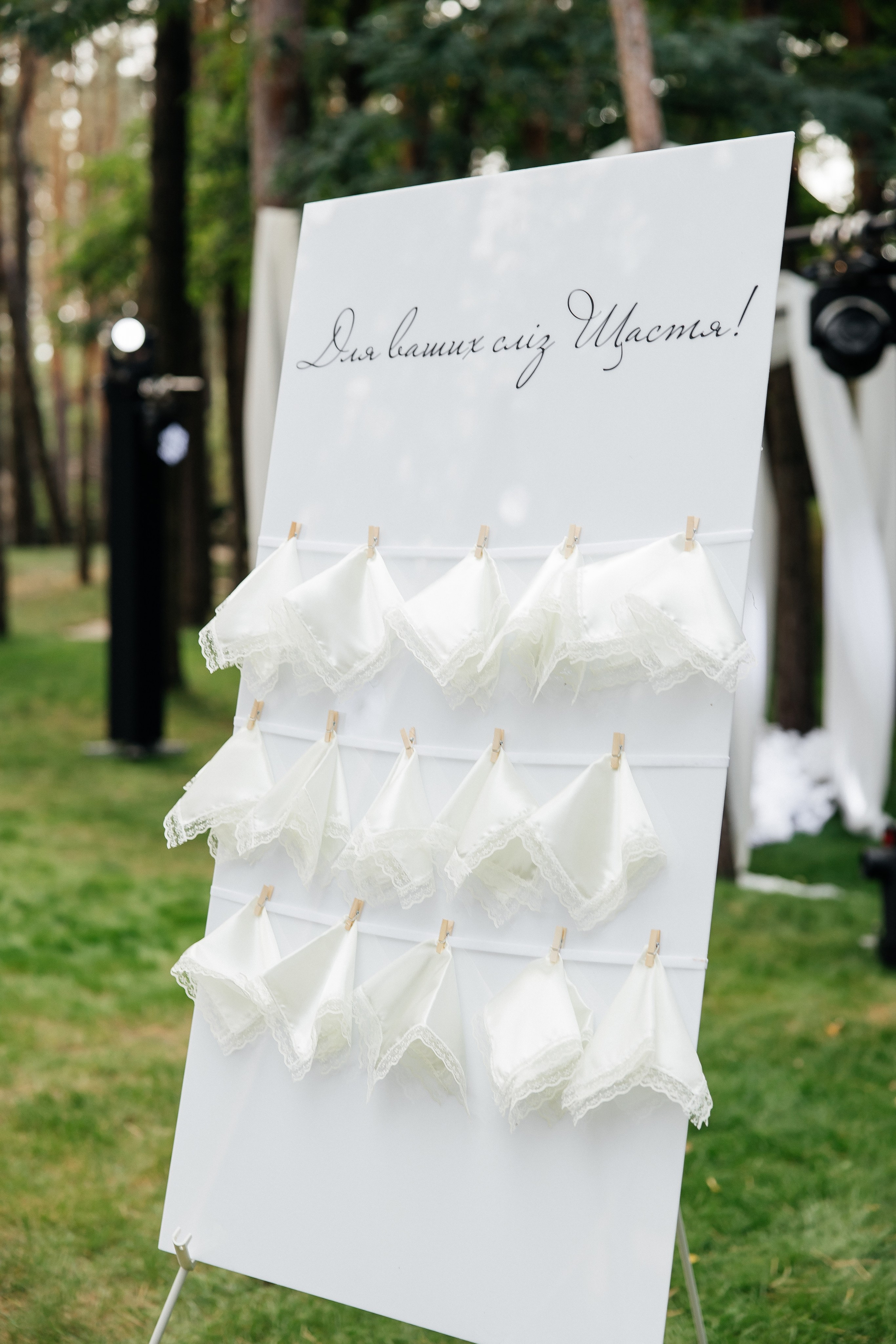 Mykhailo & Diana. Весільний фотограф Любов Шарко Черкаси